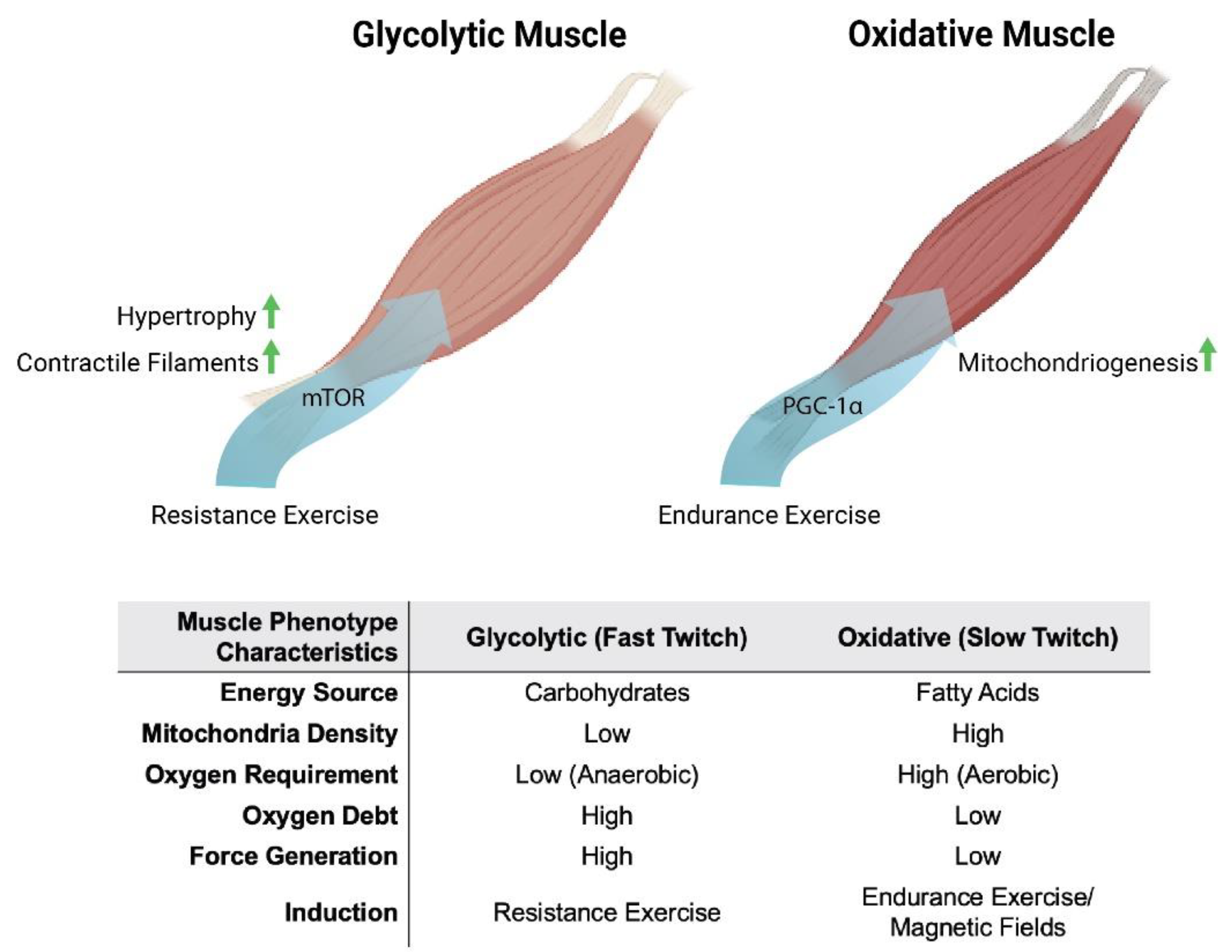 Bioengineering 10 00956 g001