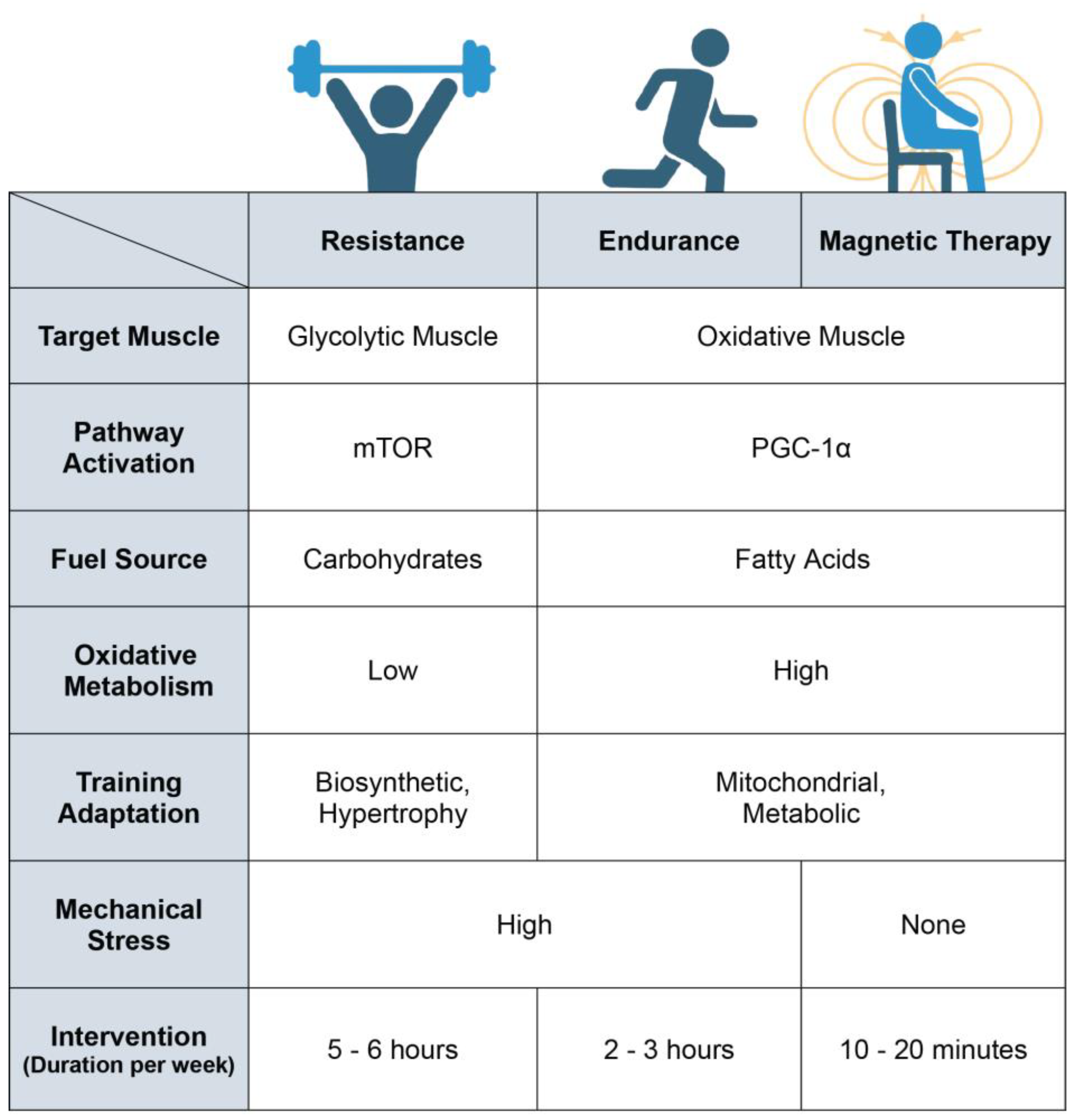 Bioengineering 10 00956 g005