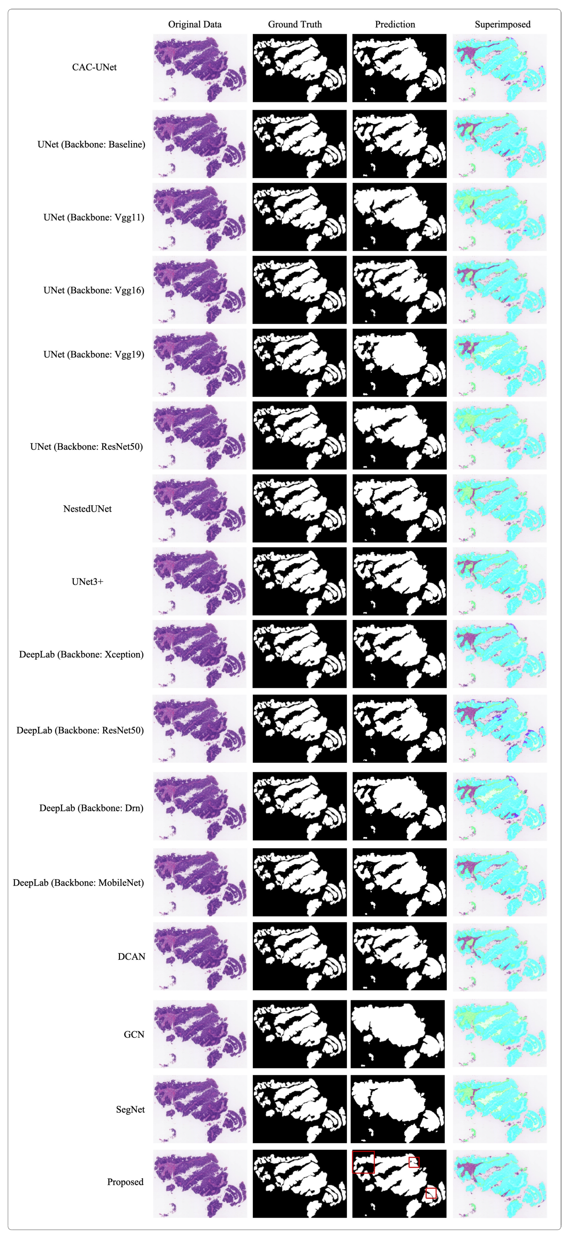 Bioengineering 10 00957 g007