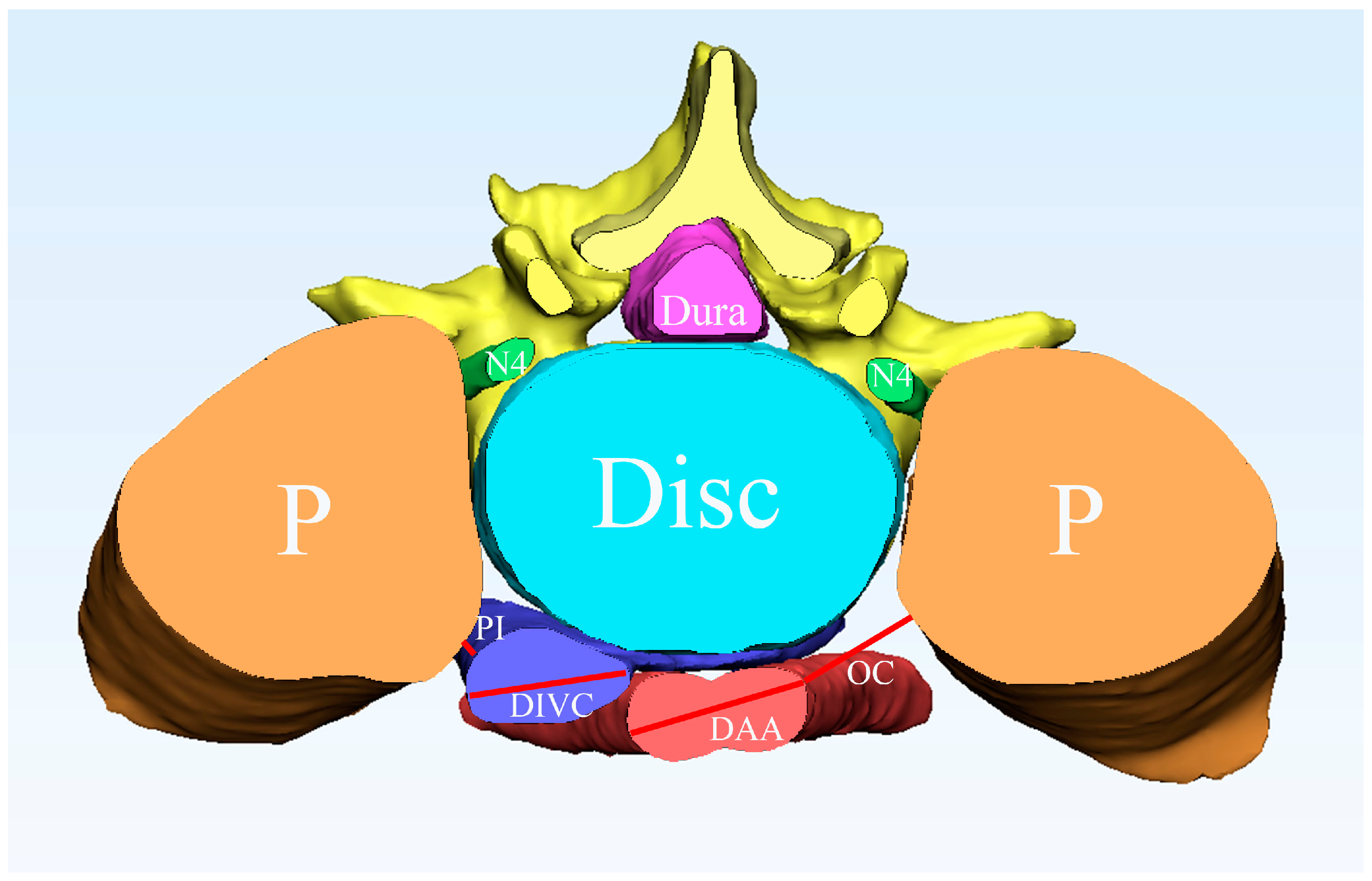 Bioengineering 10 00963 g003