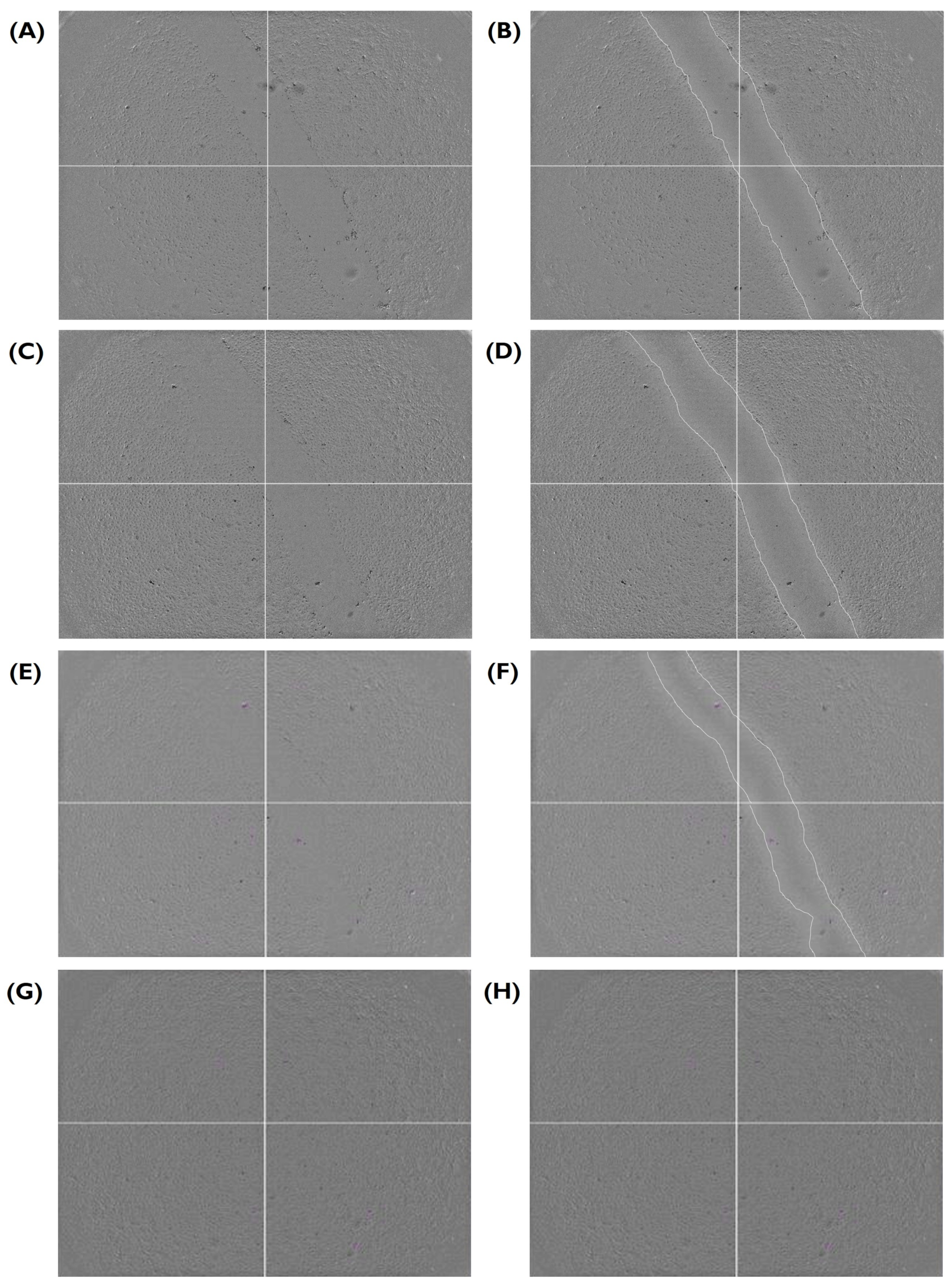 Bioengineering 10 00964 g004 Bioengineering 10 00964 g004