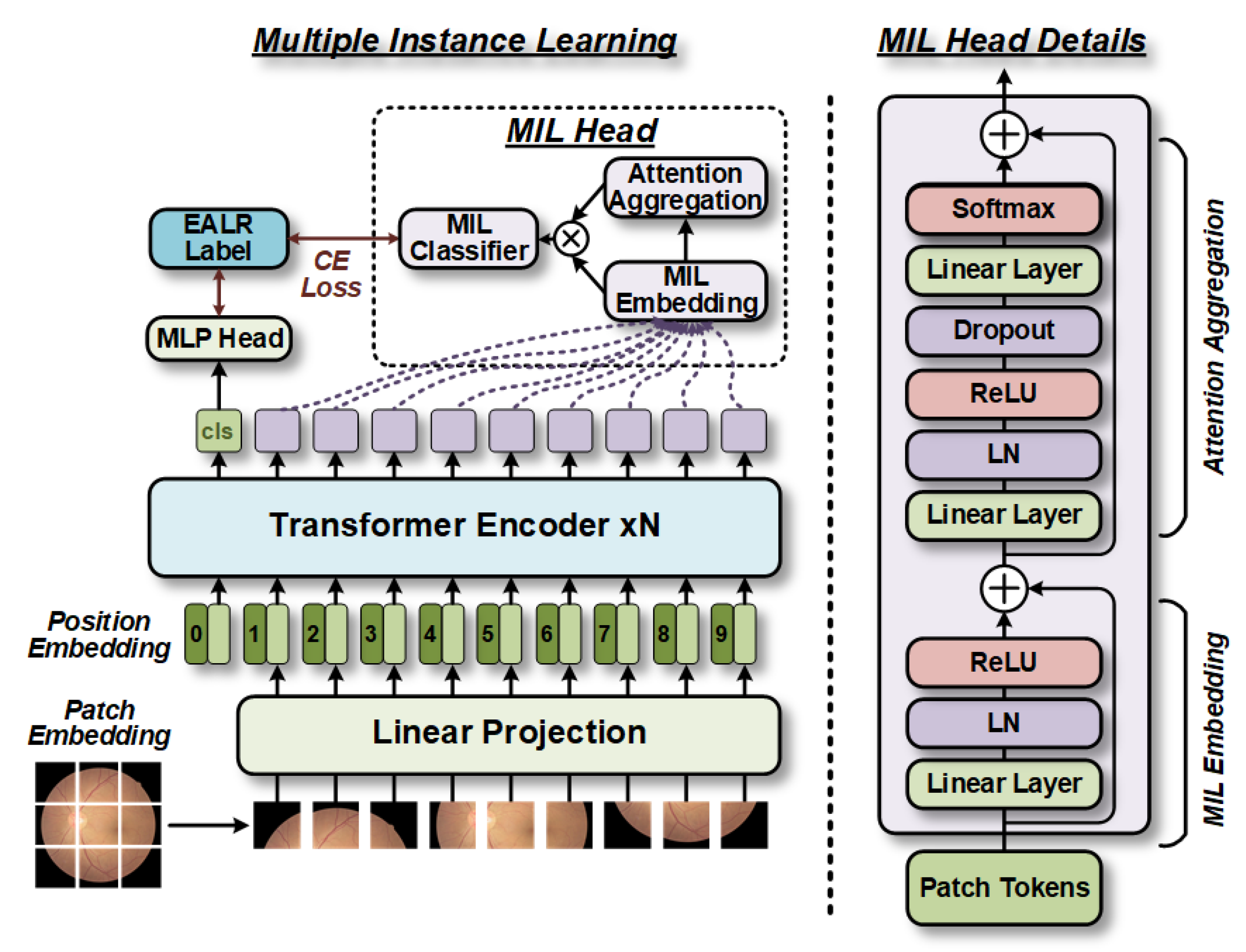 Bioengineering 10 00971 g005