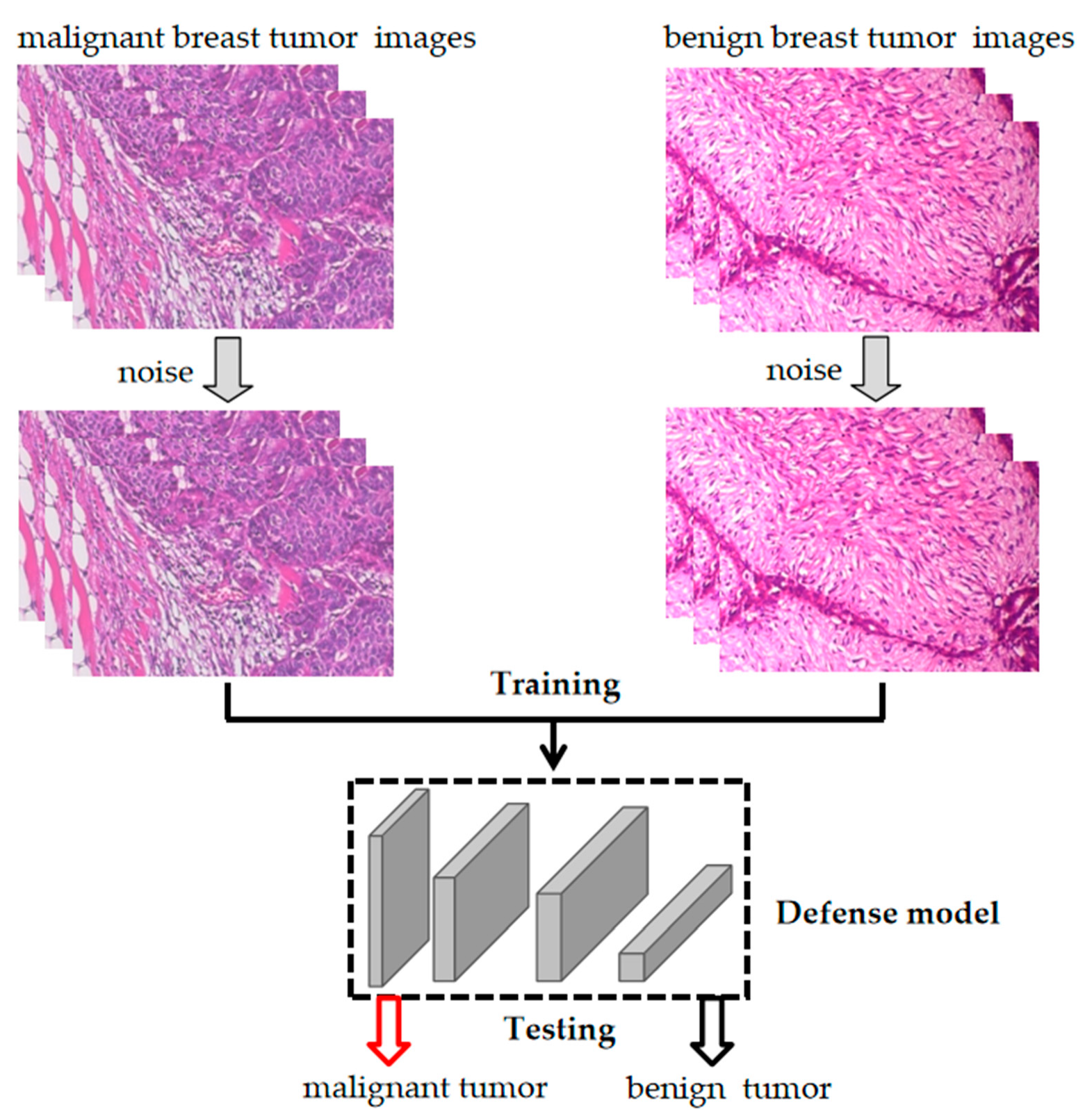 Bioengineering 10 00973 g003