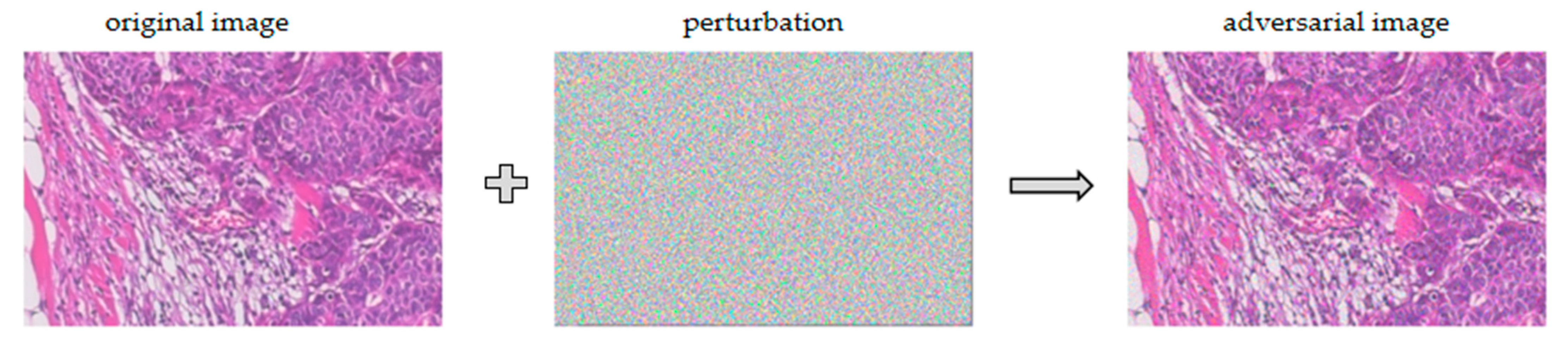 Bioengineering 10 00973 g006