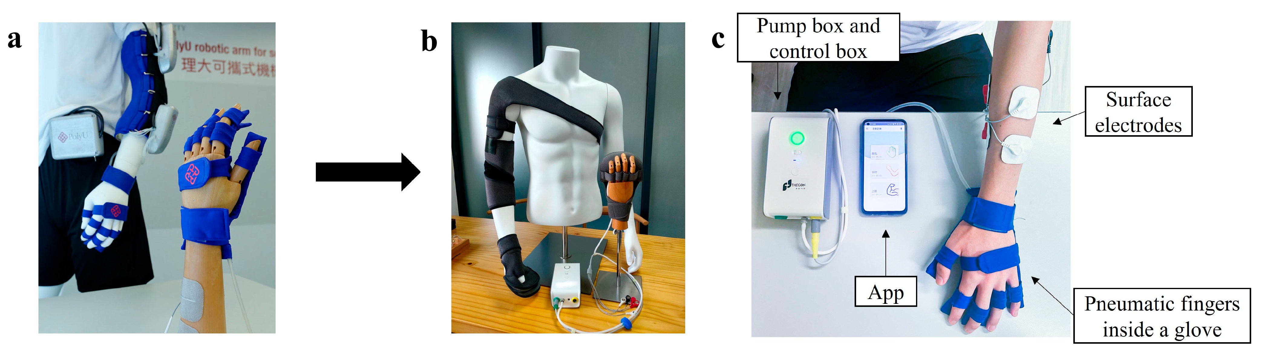 Bioengineering 10 00976 g001