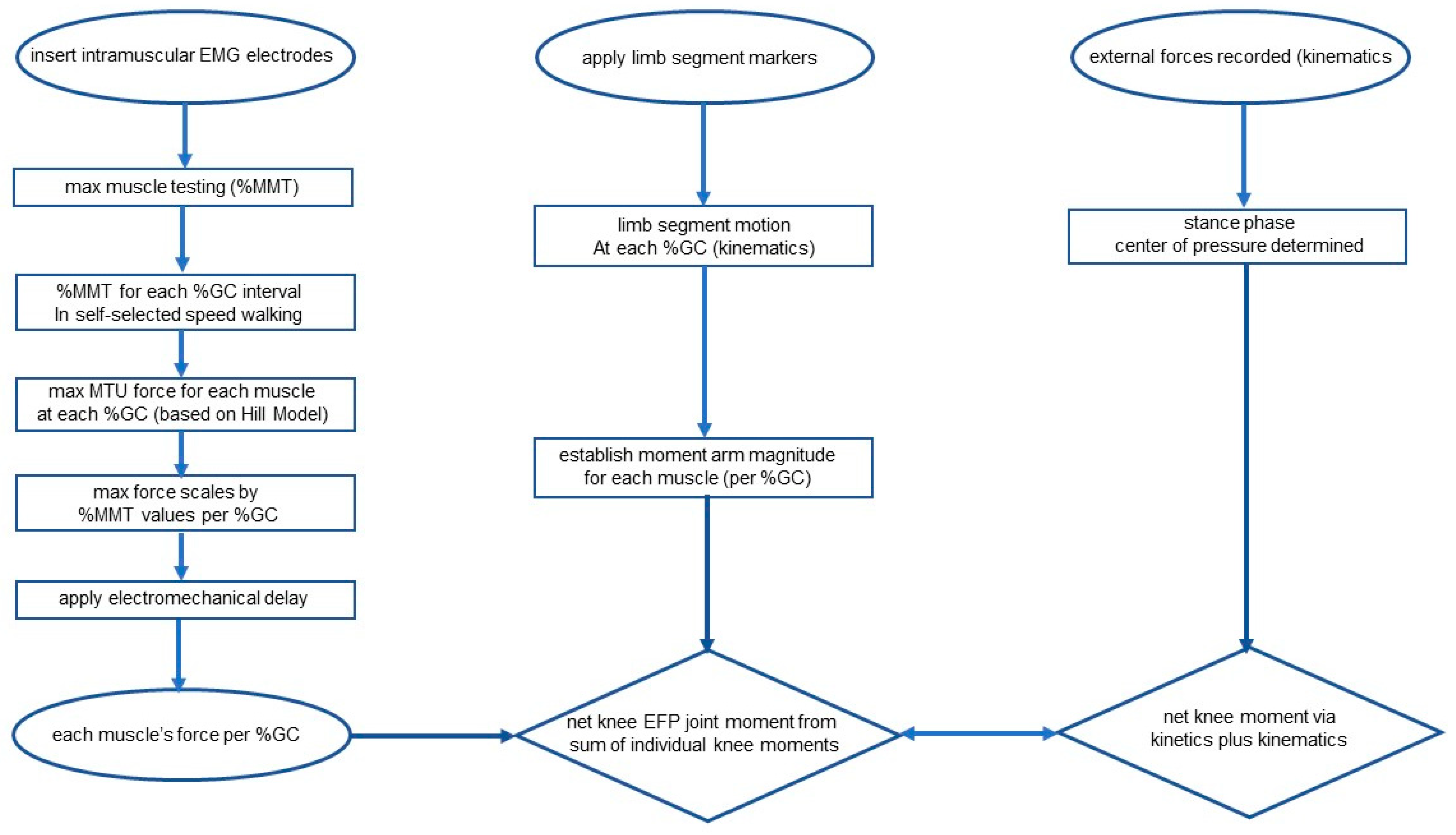 Bioengineering 10 00980 g001 Bioengineering 10 00980 g001