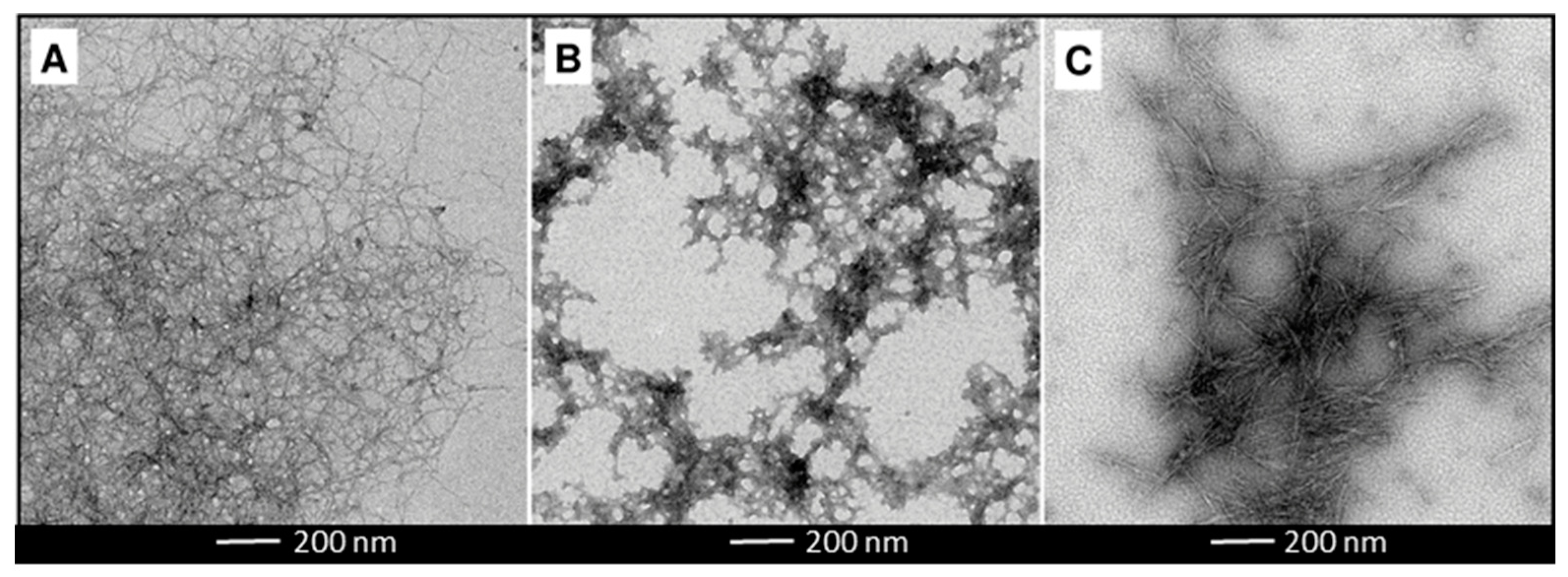 Bioengineering 10 00986 g001