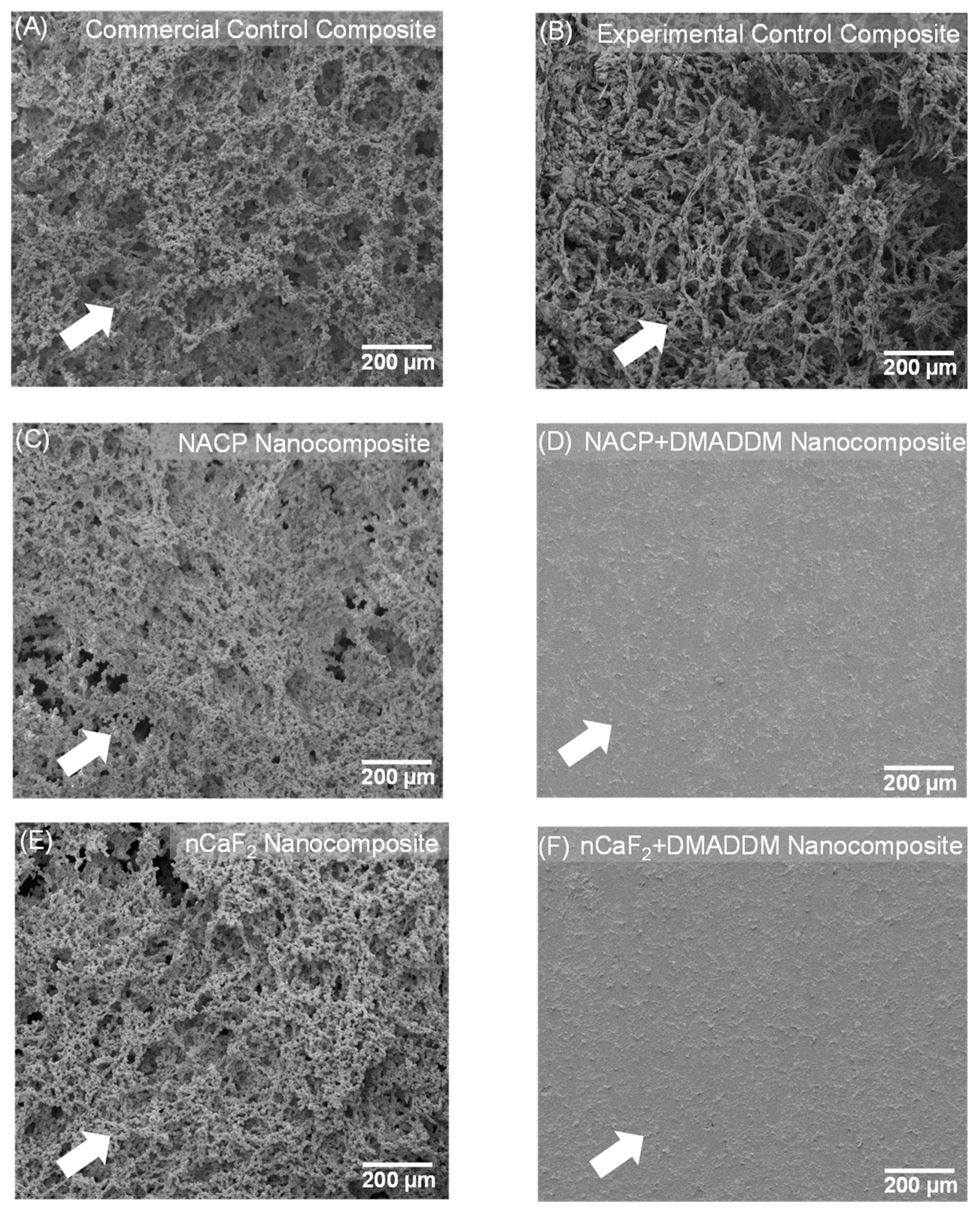 Bioengineering 10 00991 g002