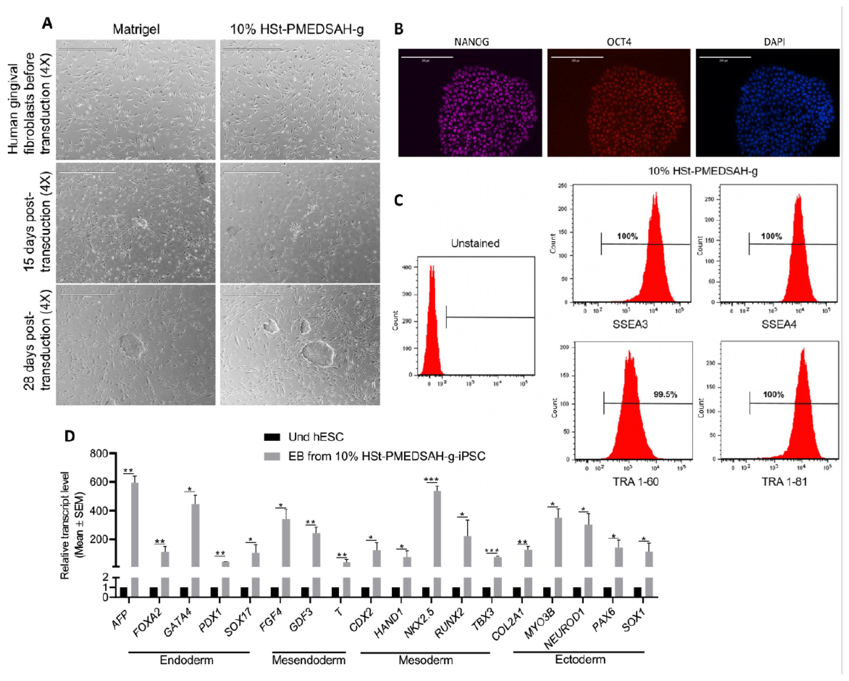 Bioengineering 10 00999 g004