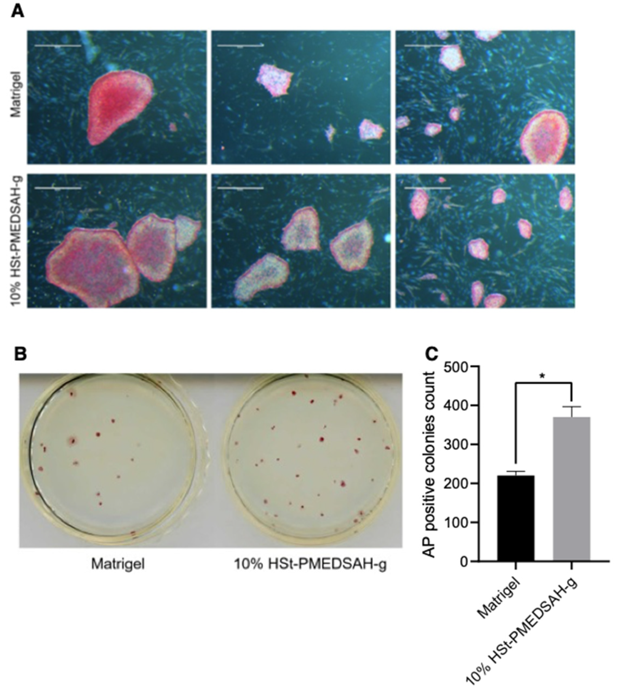 Bioengineering 10 00999 g005