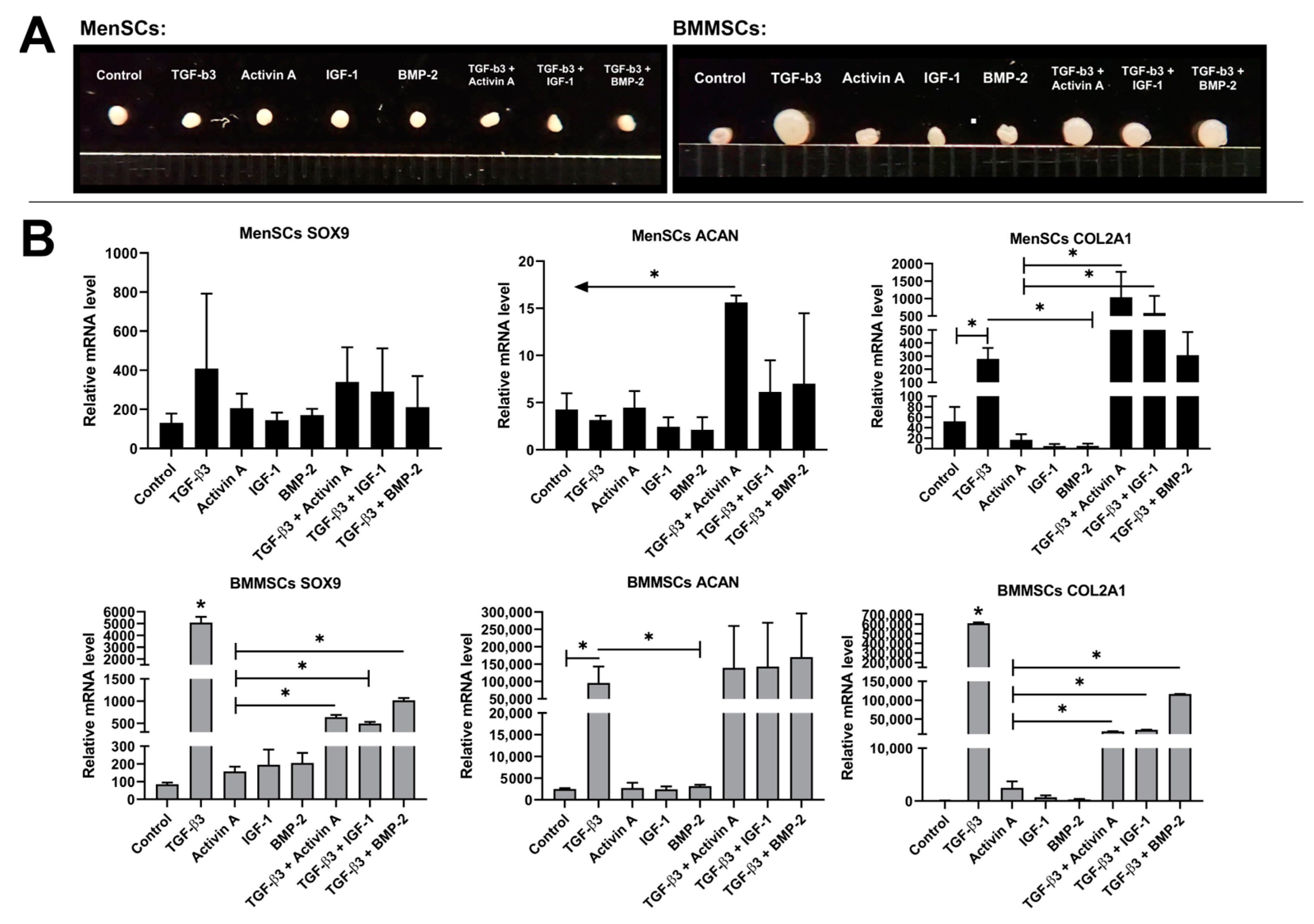 Bioengineering 10 01001 g001