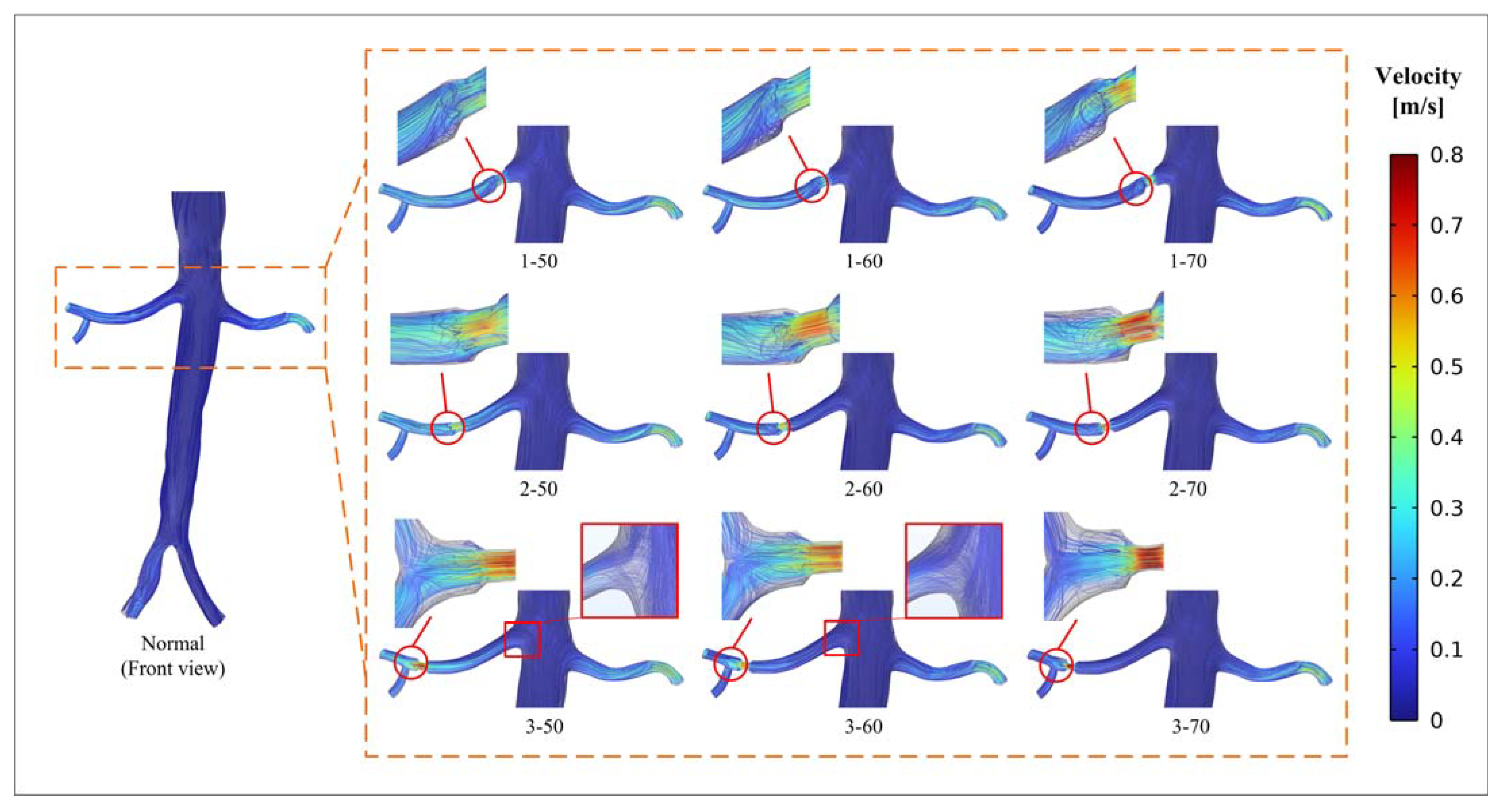 Bioengineering 10 01002 g003