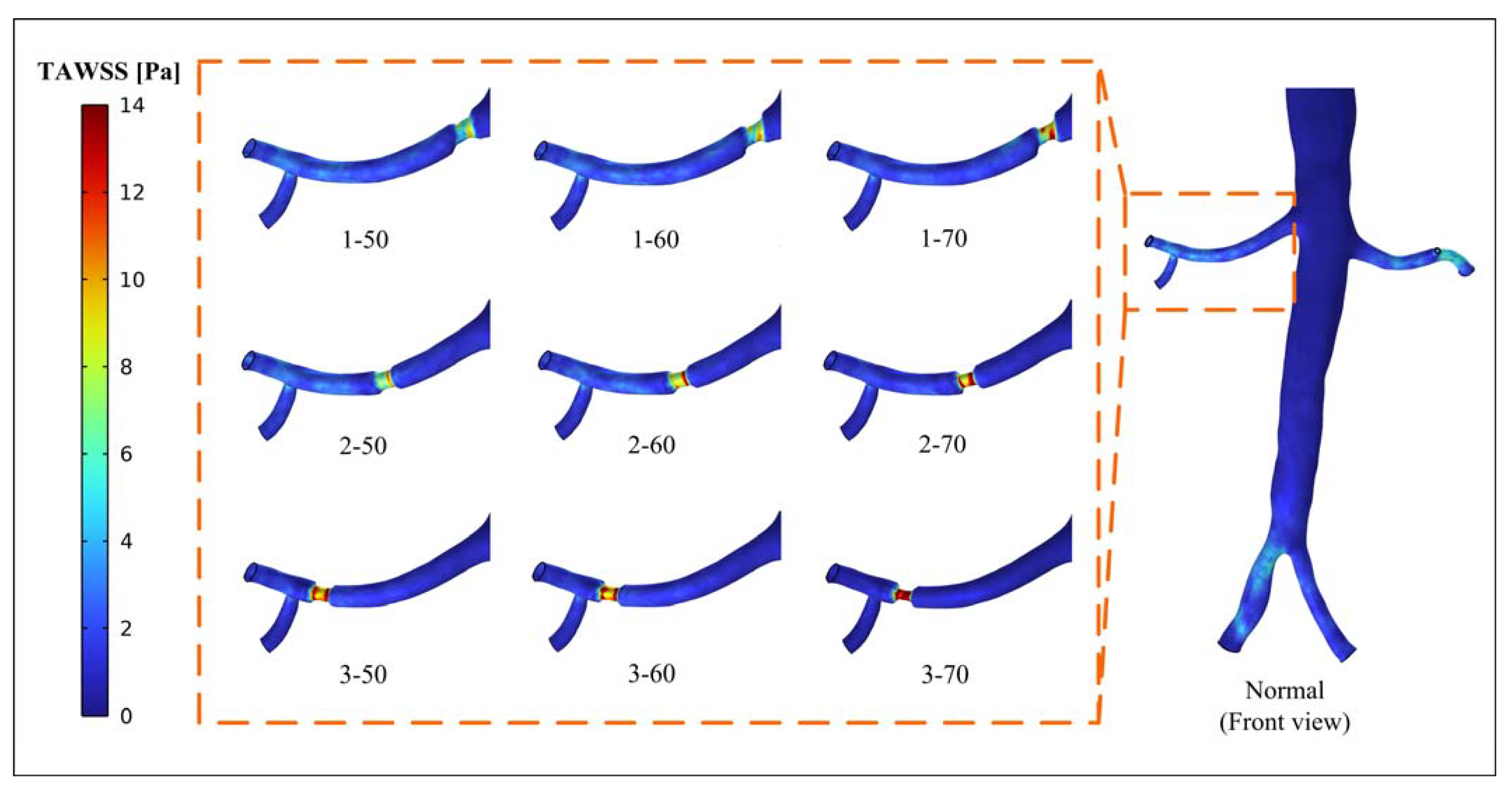 Bioengineering 10 01002 g005