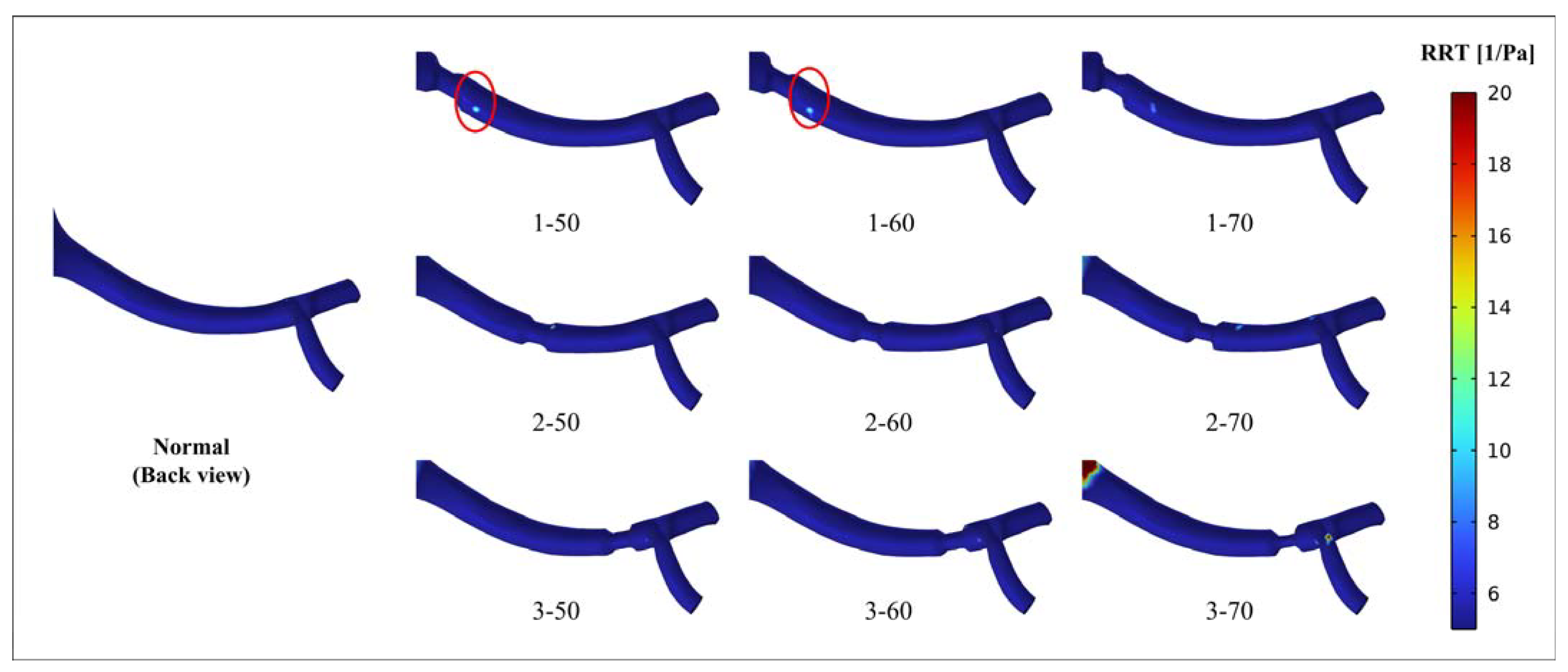 Bioengineering 10 01002 g008