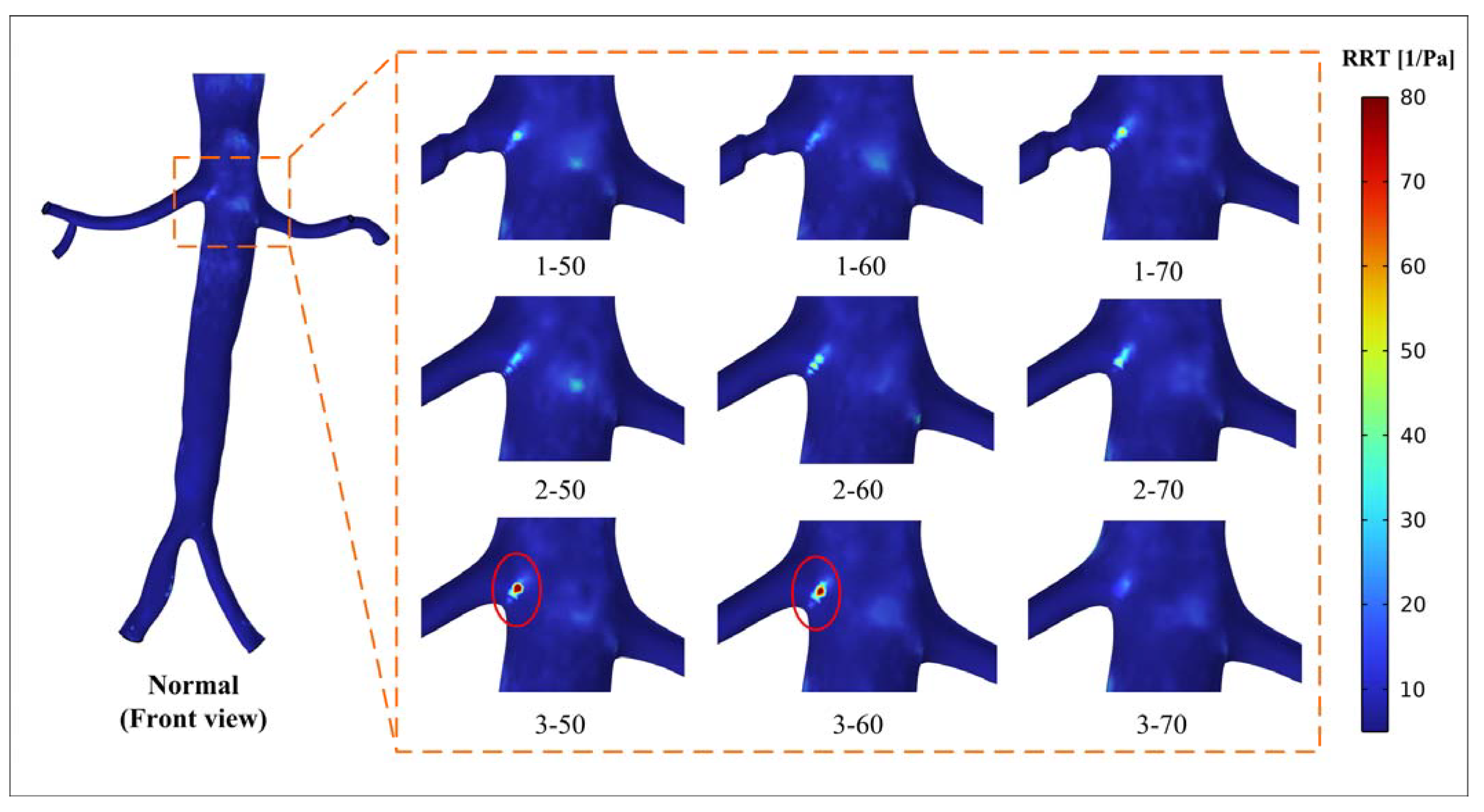 Bioengineering 10 01002 g009