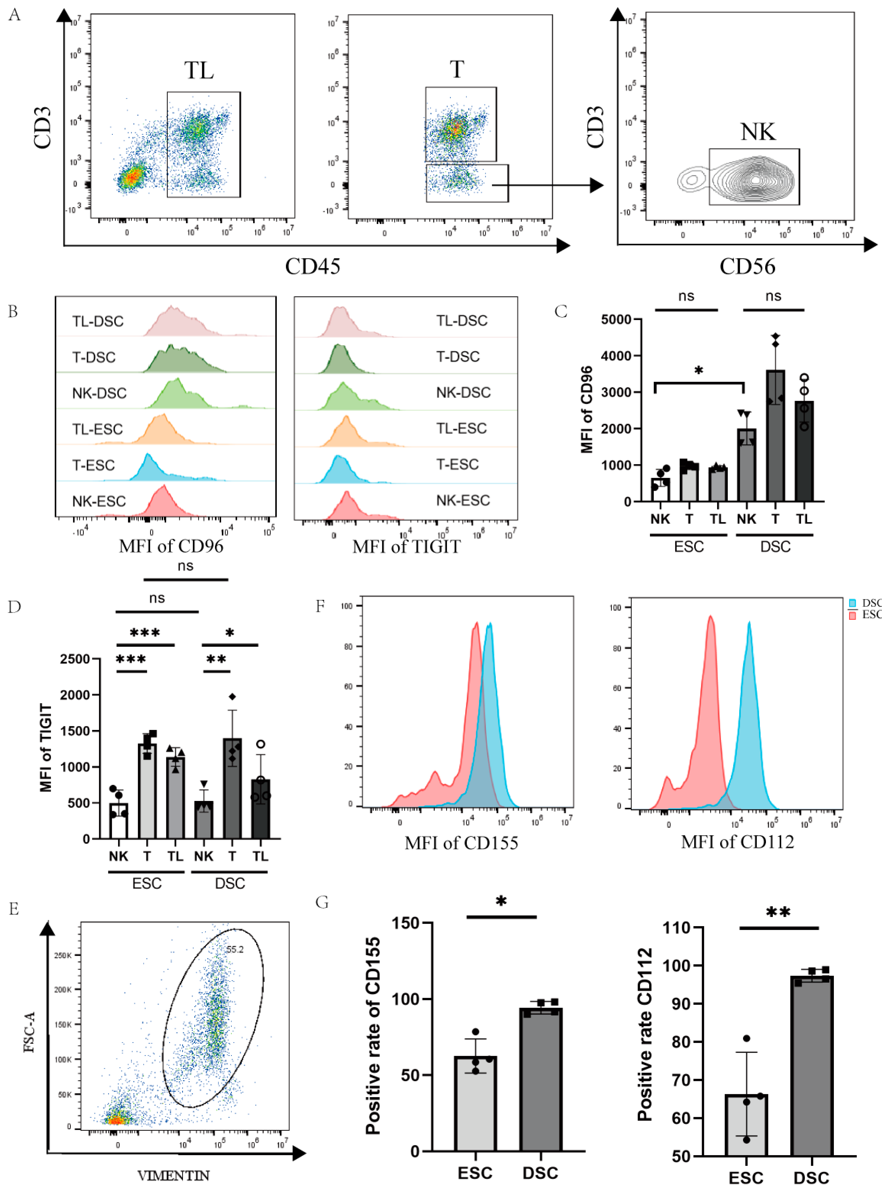 Bioengineering 10 01008 g002