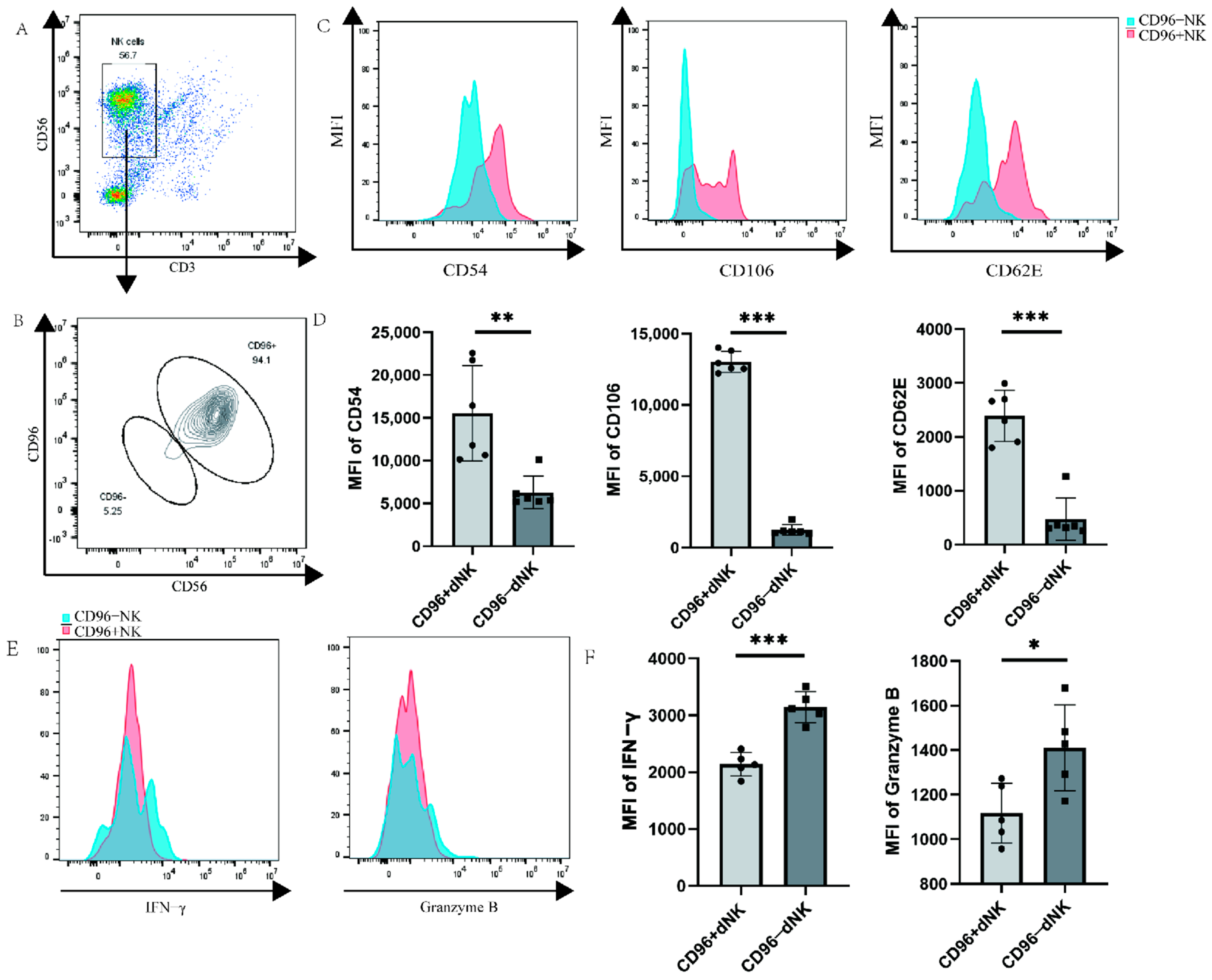 Bioengineering 10 01008 g003