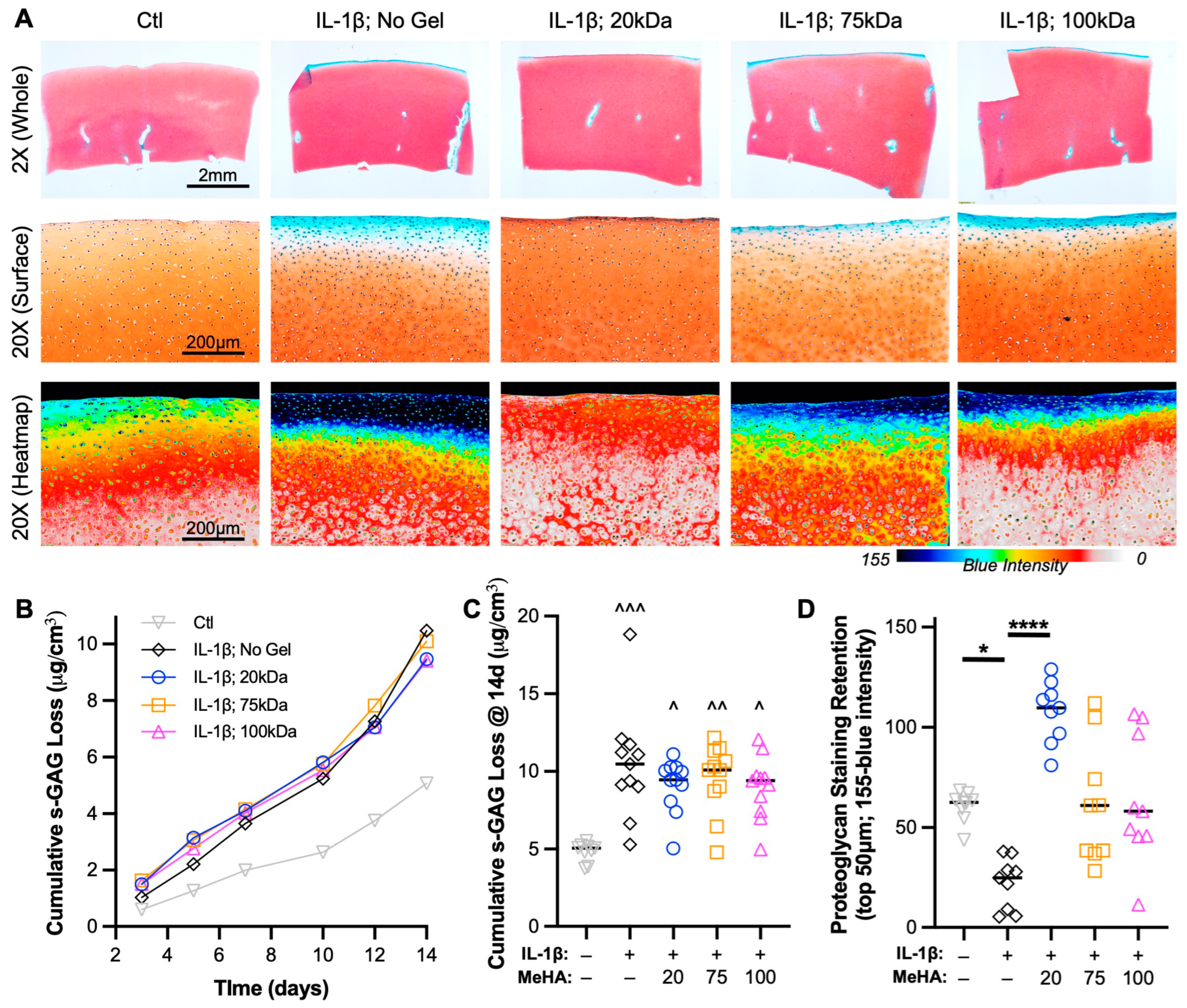 Bioengineering 10 01013 g006 Bioengineering 10 01013 g006