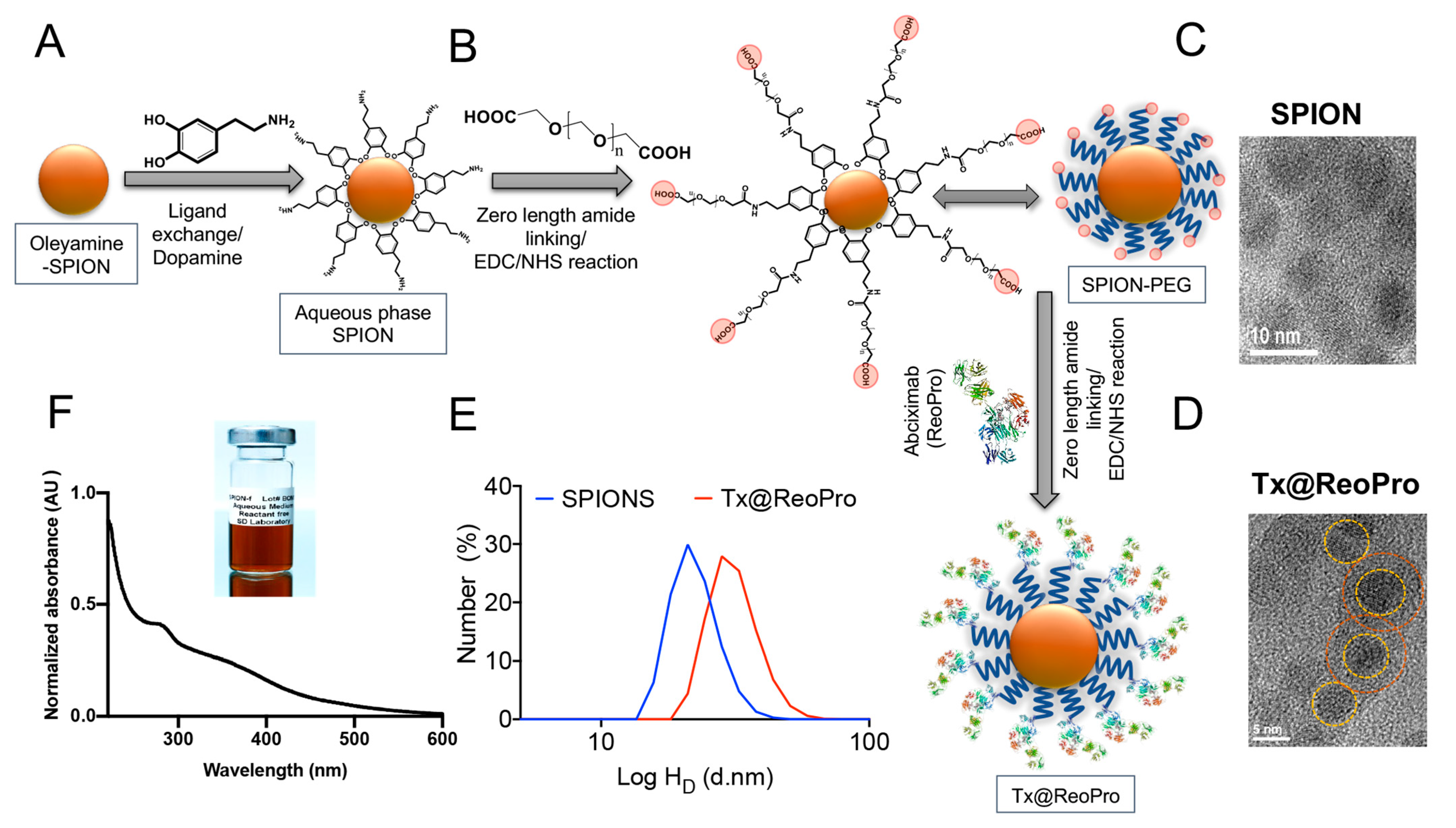Bioengineering 10 01020 g001