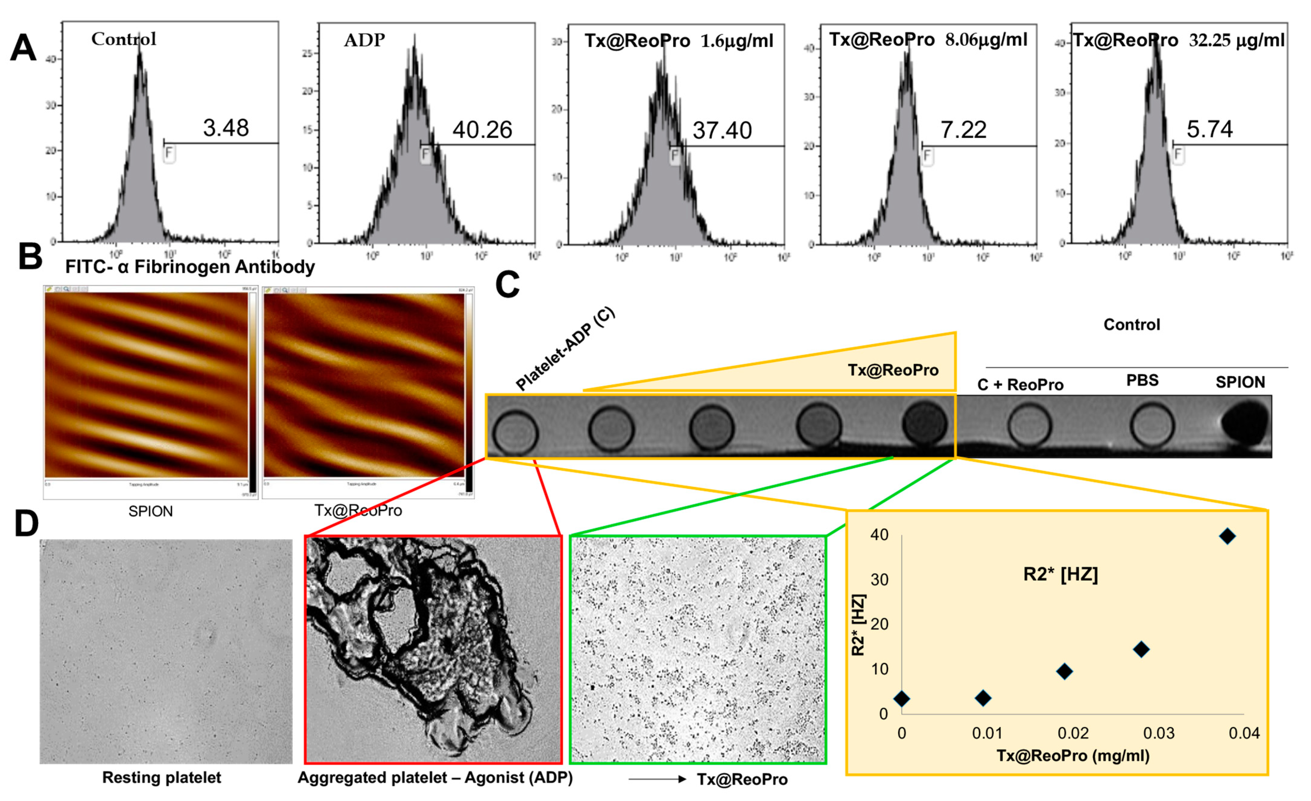 Bioengineering 10 01020 g004