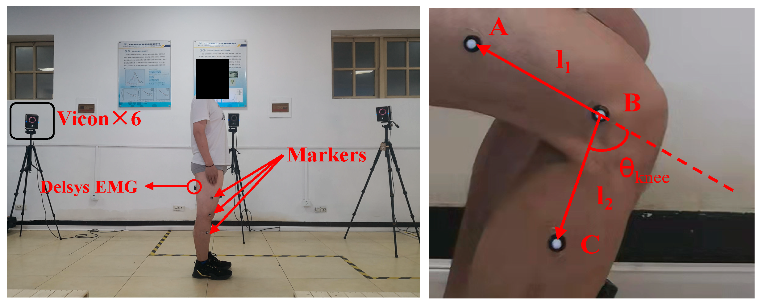 Bioengineering 10 01028 g003