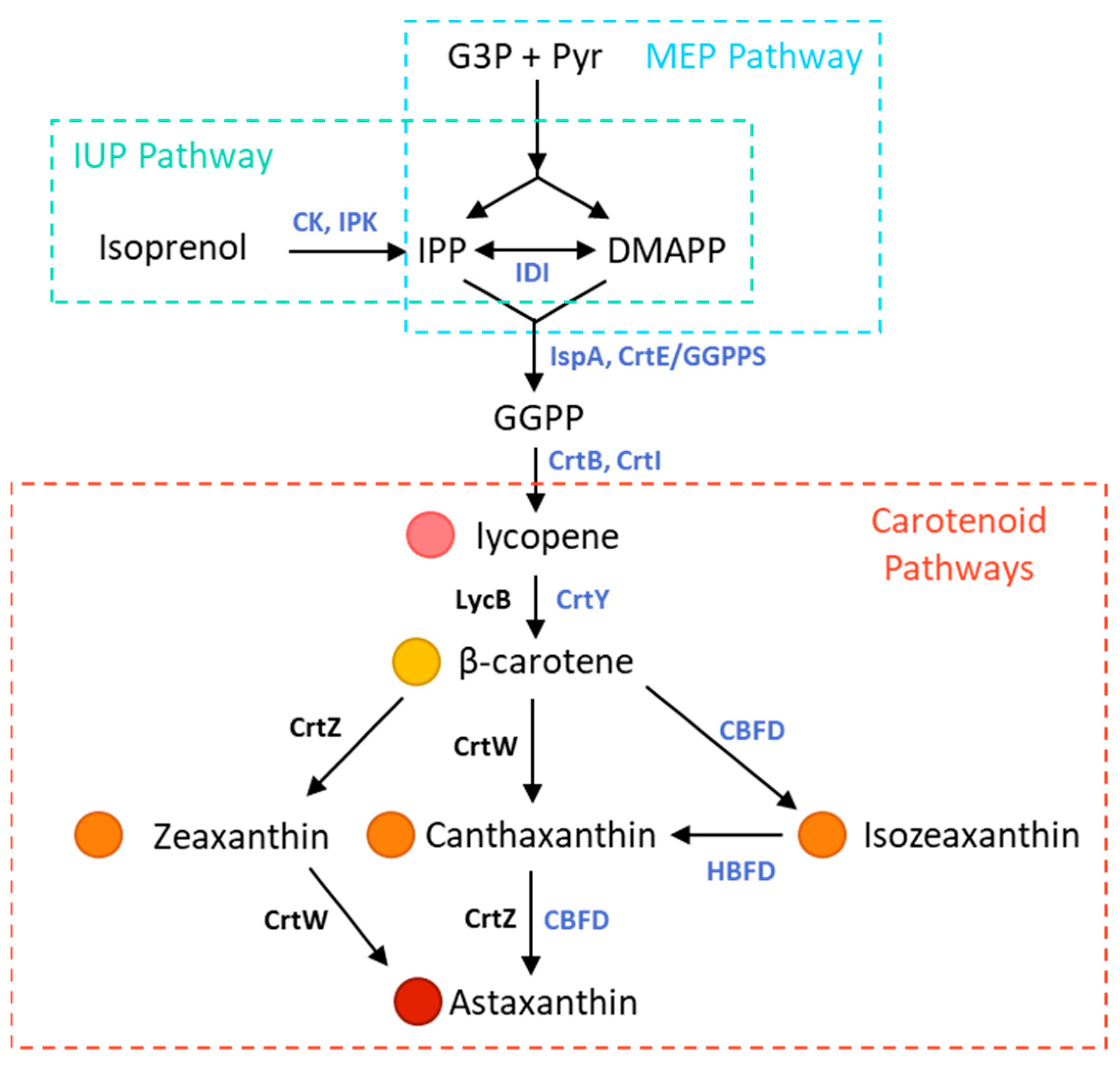 Bioengineering 10 01033 g001