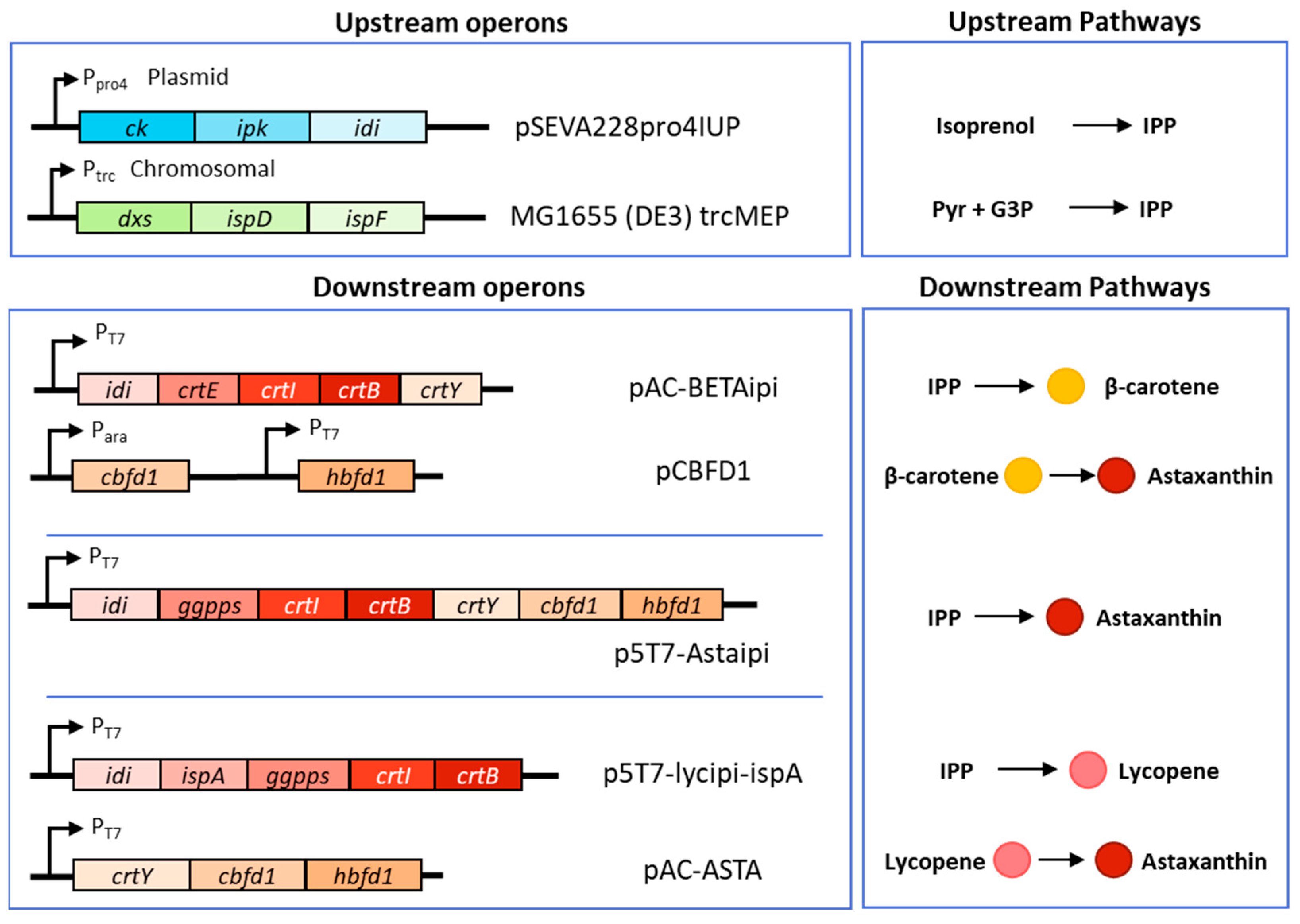 Bioengineering 10 01033 g002