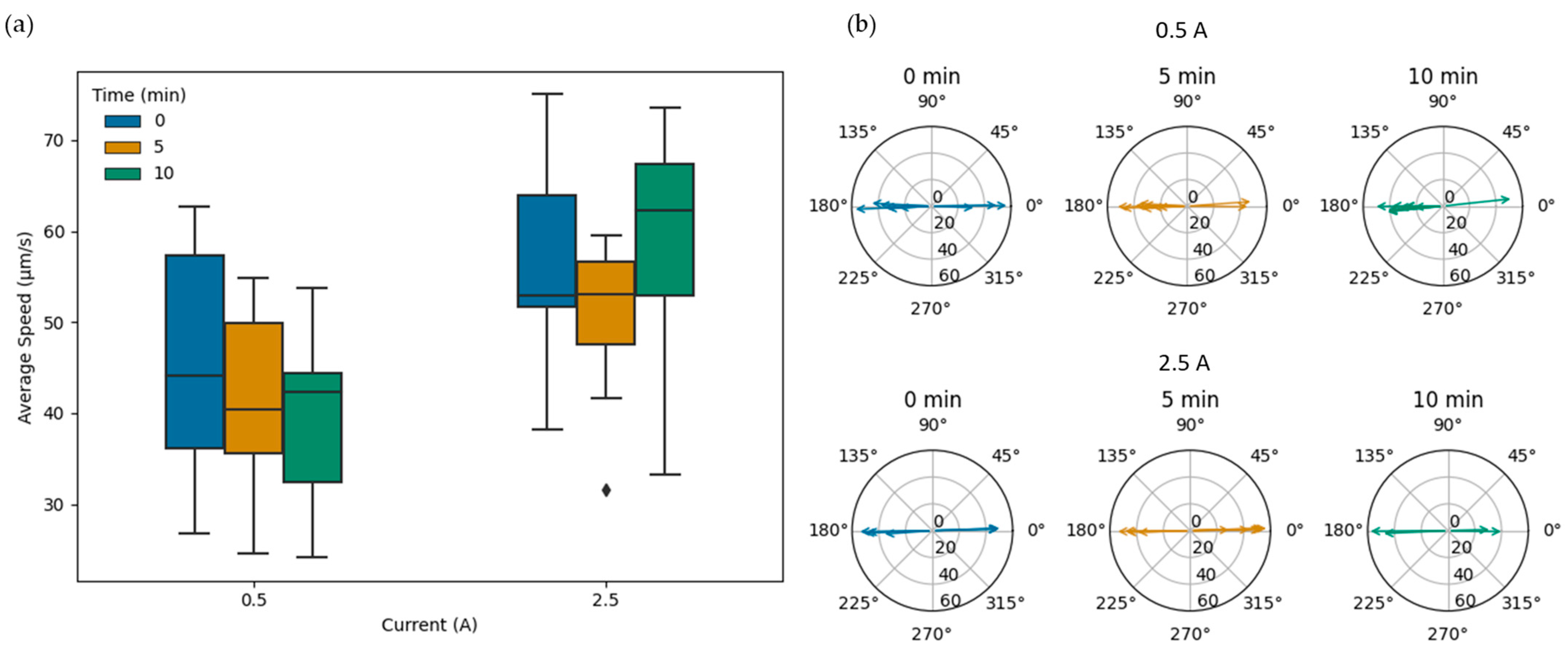 Bioengineering 10 01034 g007