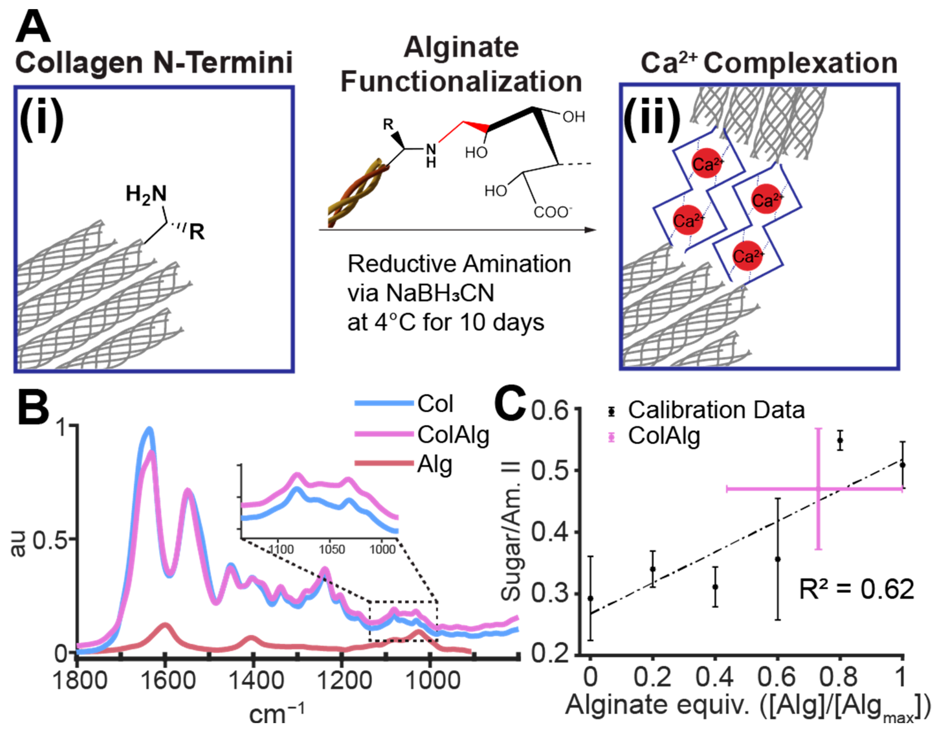 Bioengineering 10 01037 g001