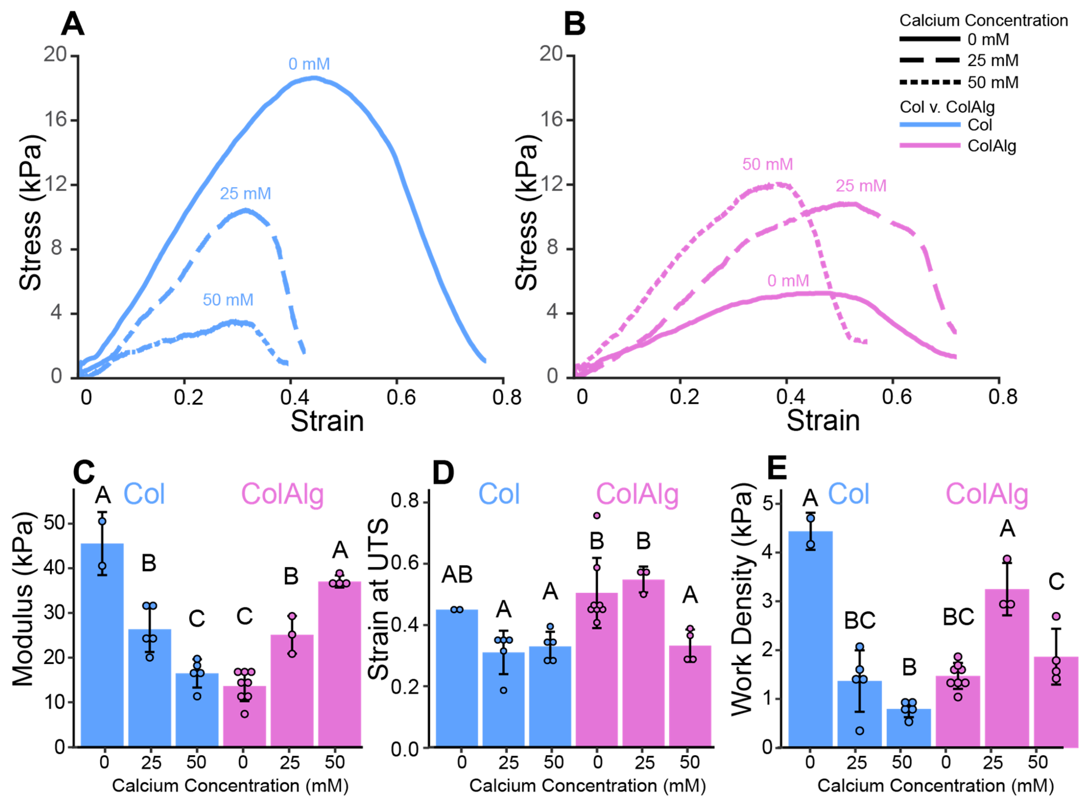 Bioengineering 10 01037 g003