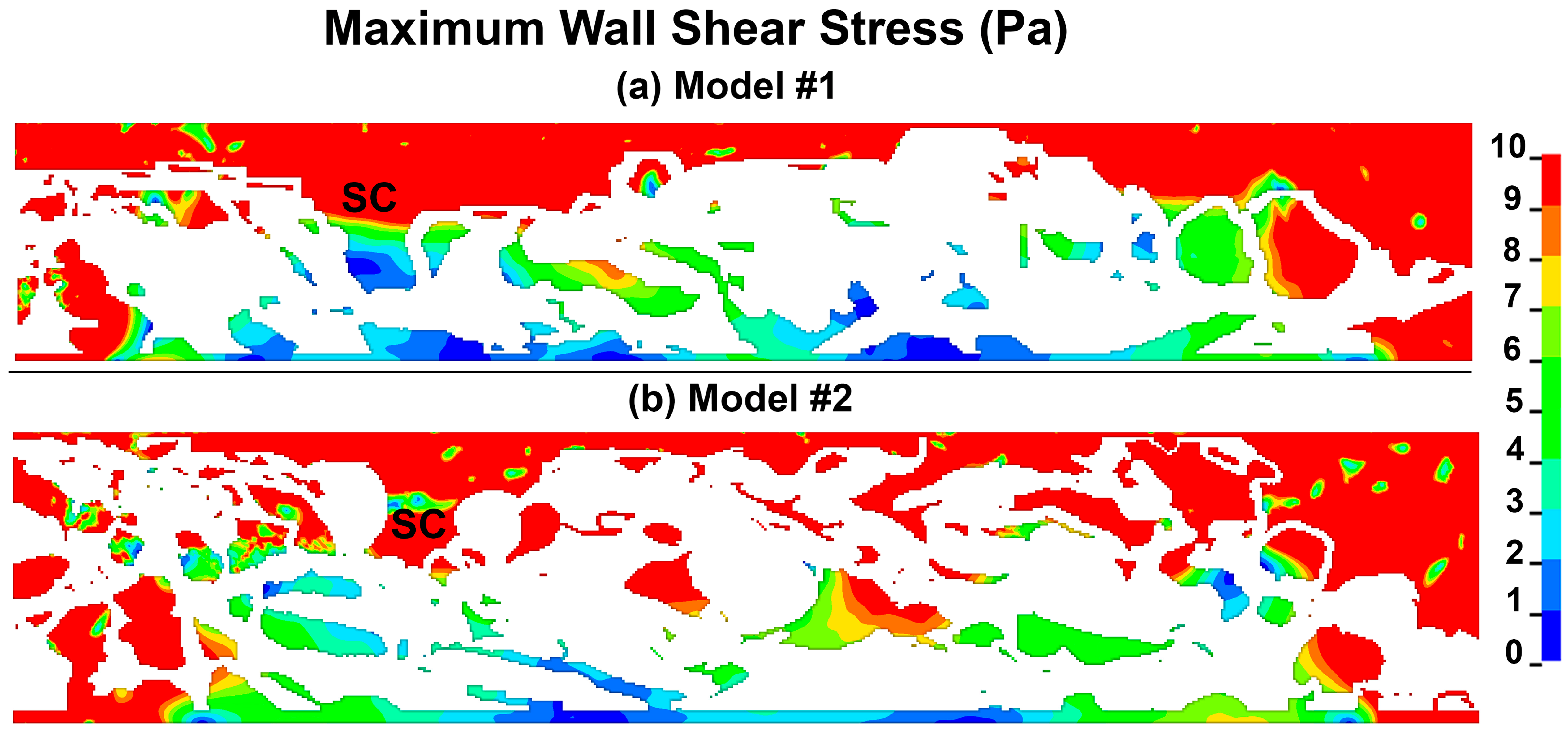 Bioengineering 10 01038 g006