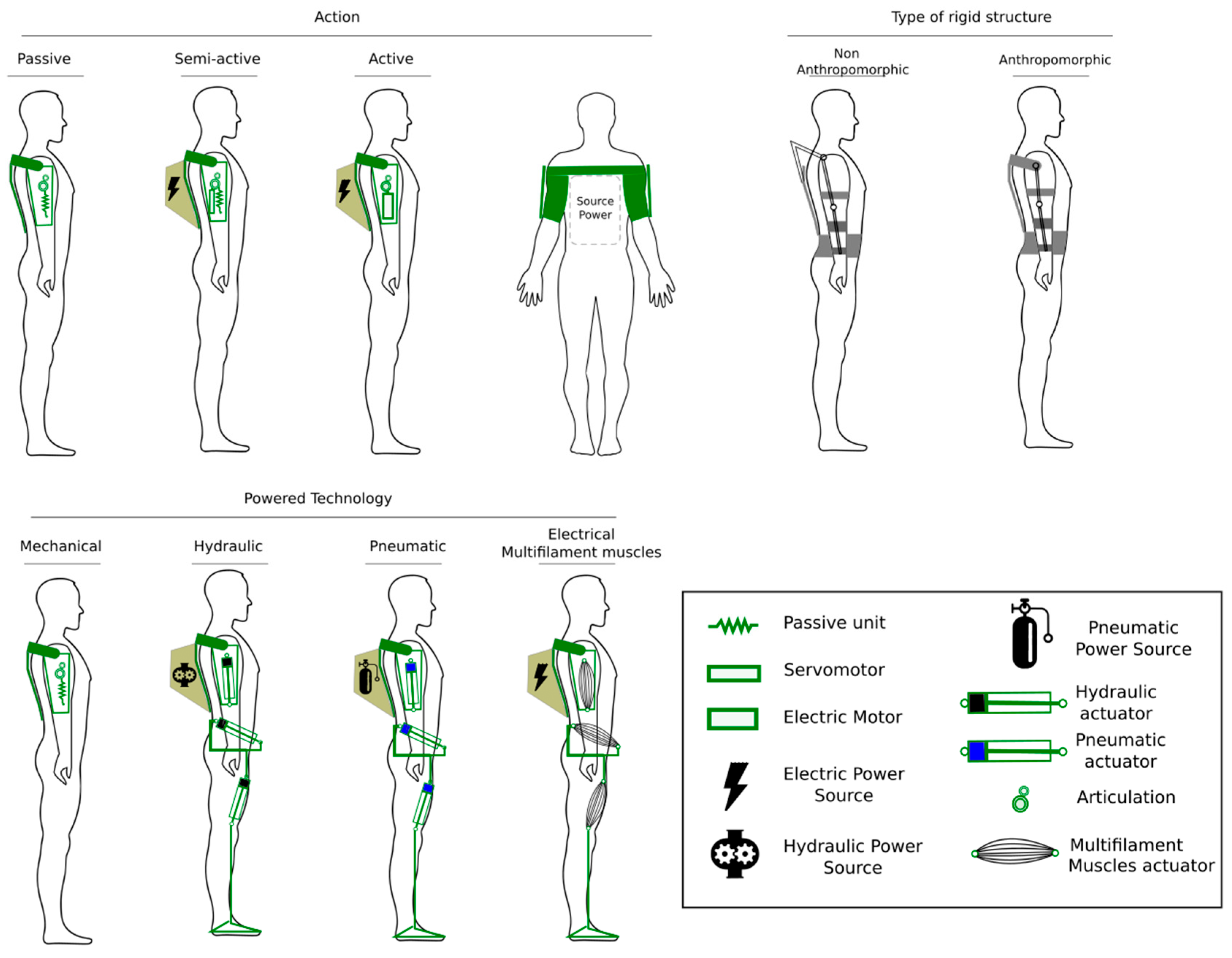 Bioengineering 10 01039 g006