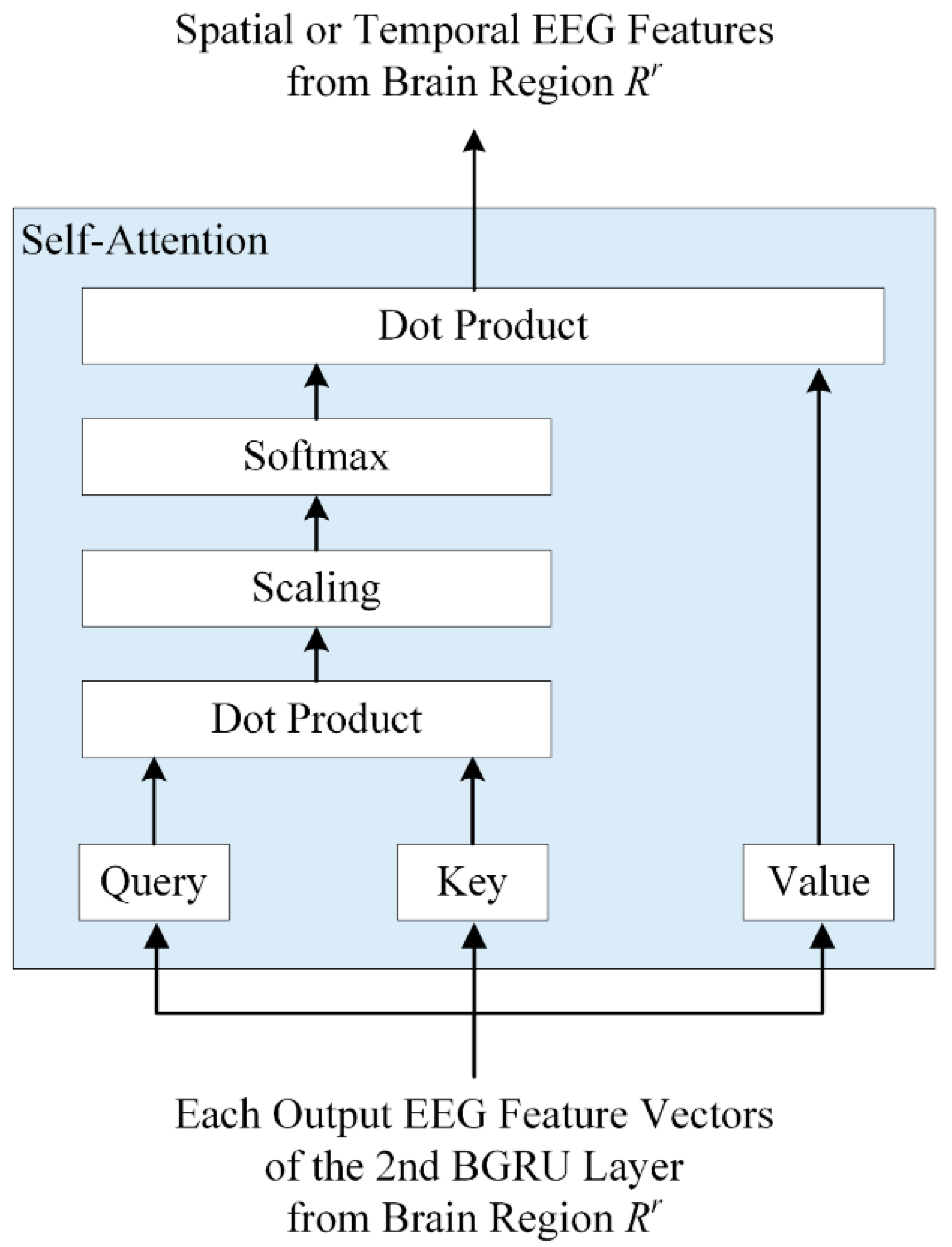 Bioengineering 10 01040 g005