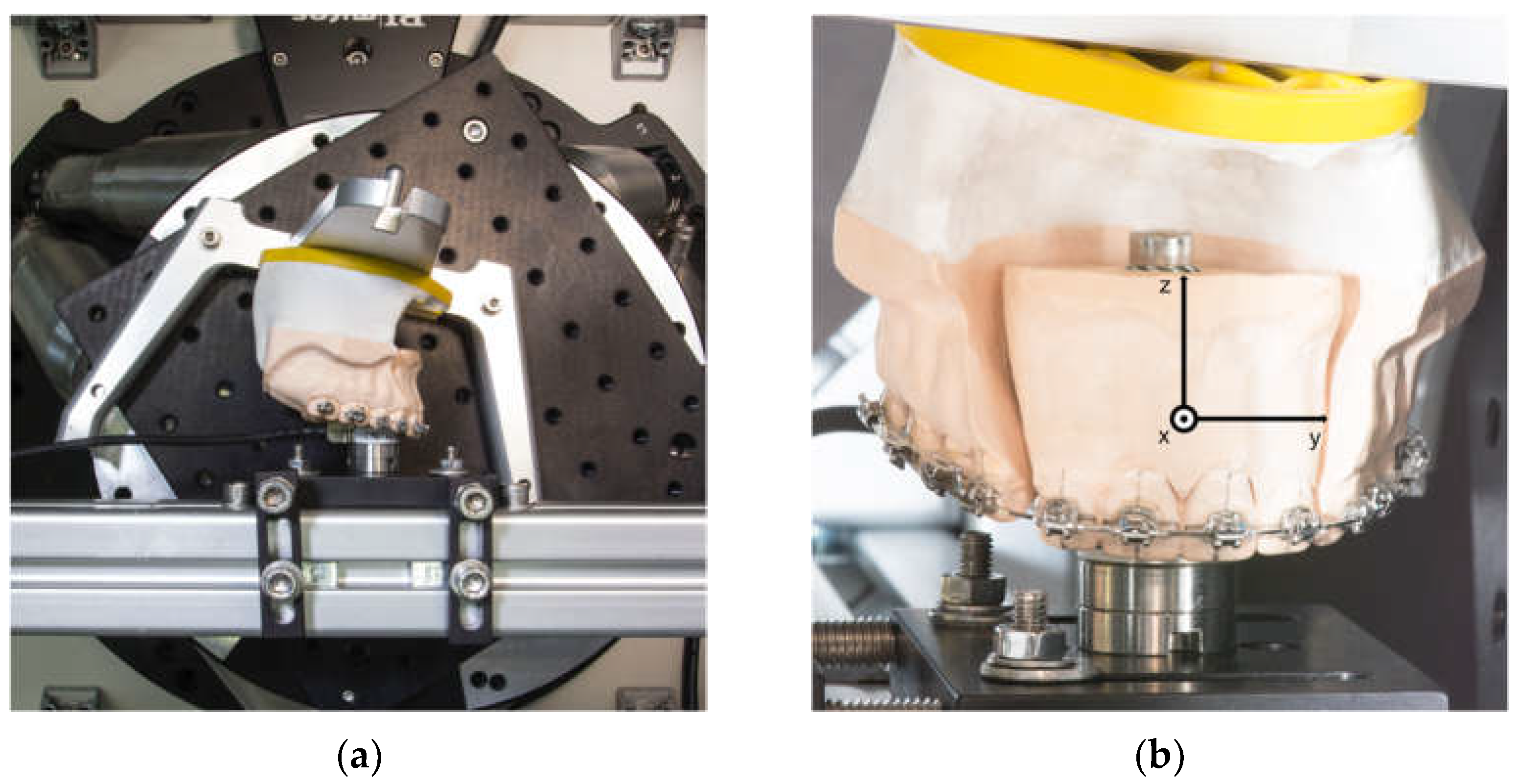Bioengineering 10 01055 g001