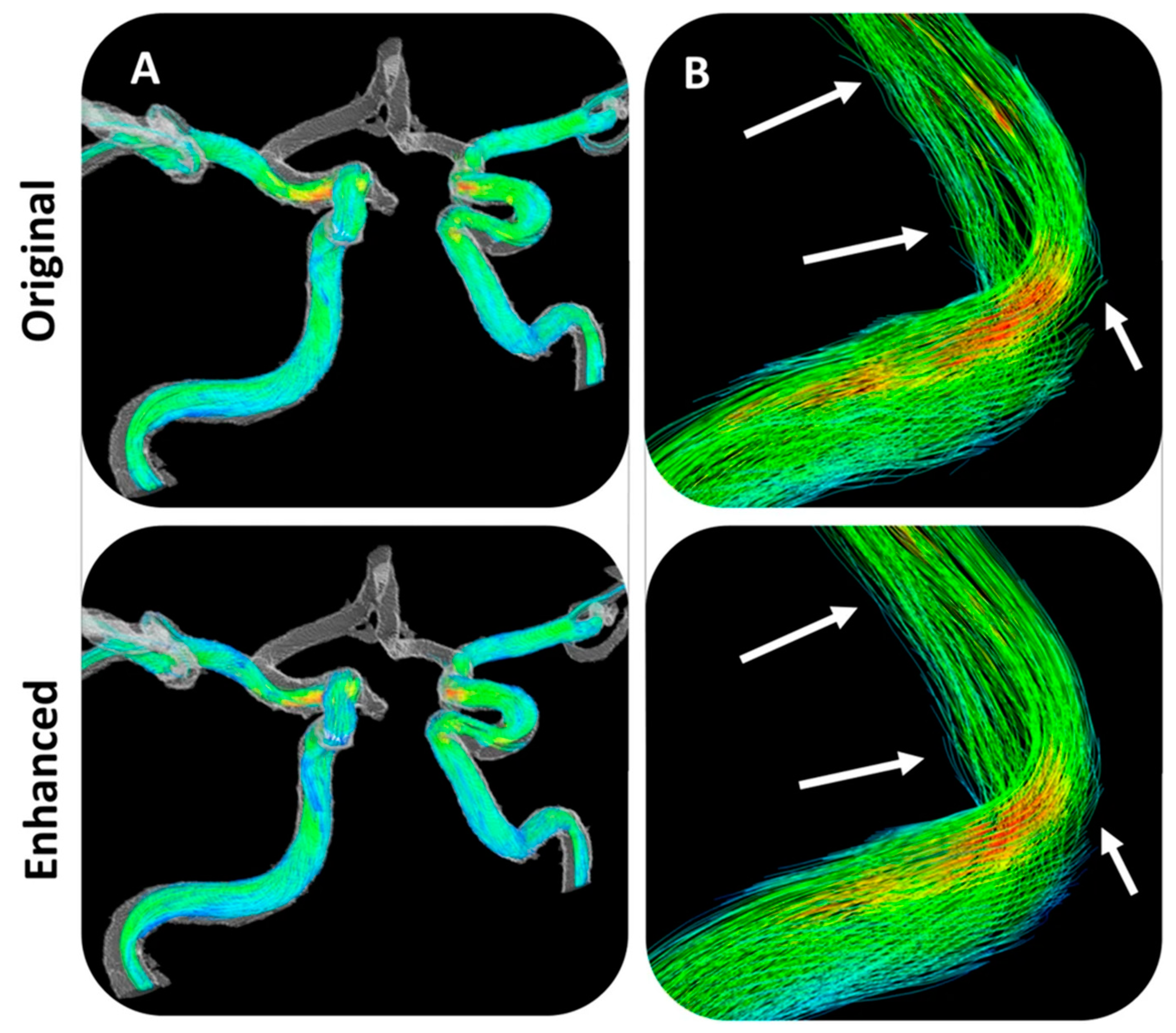 Bioengineering 10 01066 g004