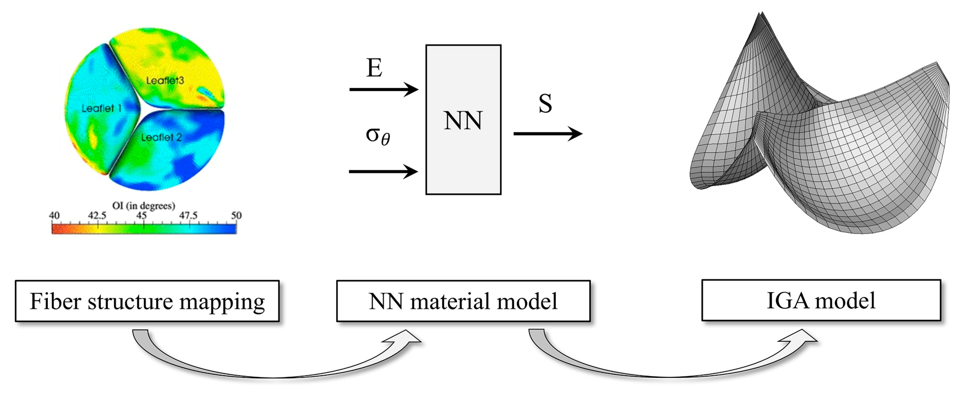 Bioengineering 10 01066 g005