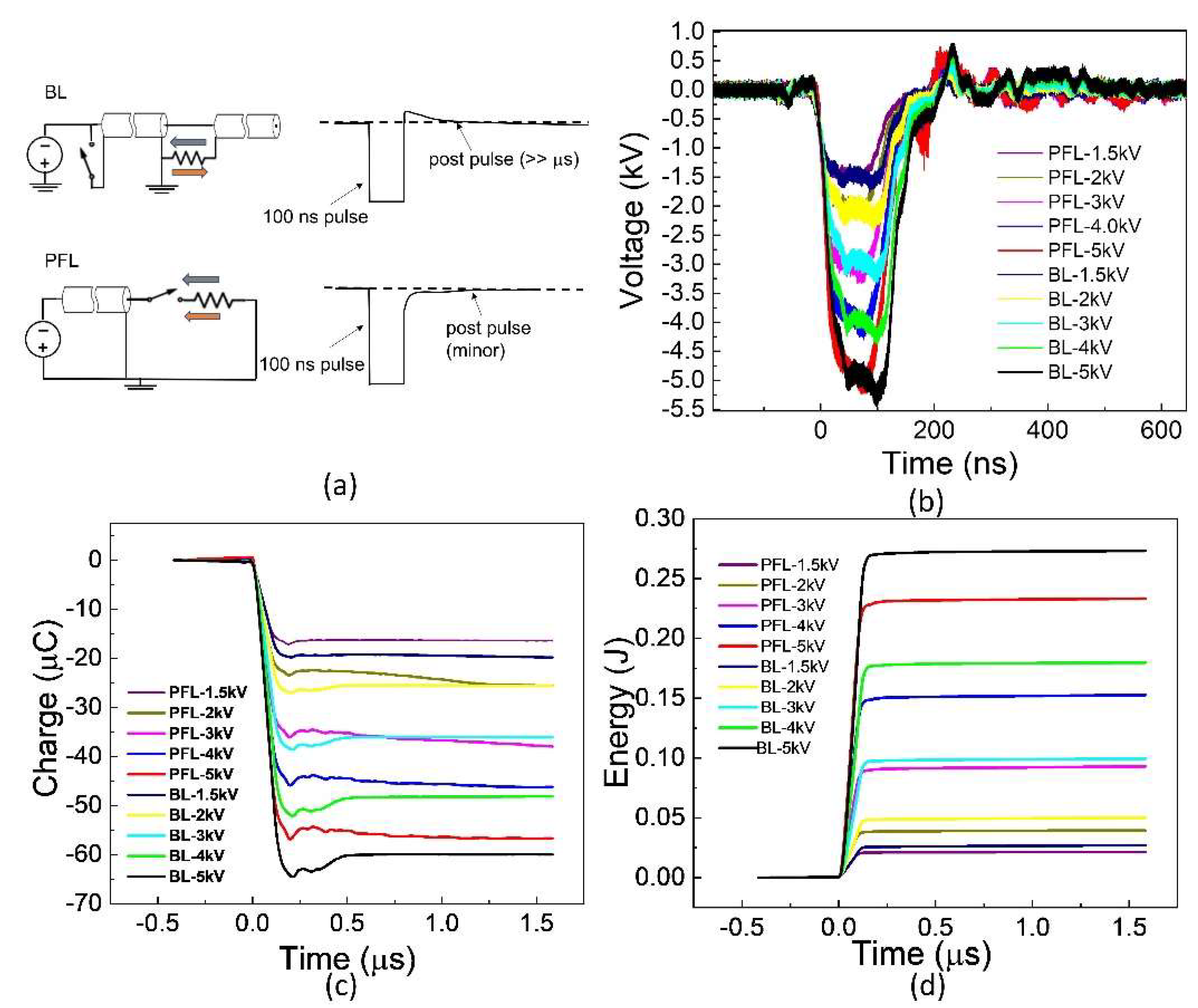 Bioengineering 10 01069 g001