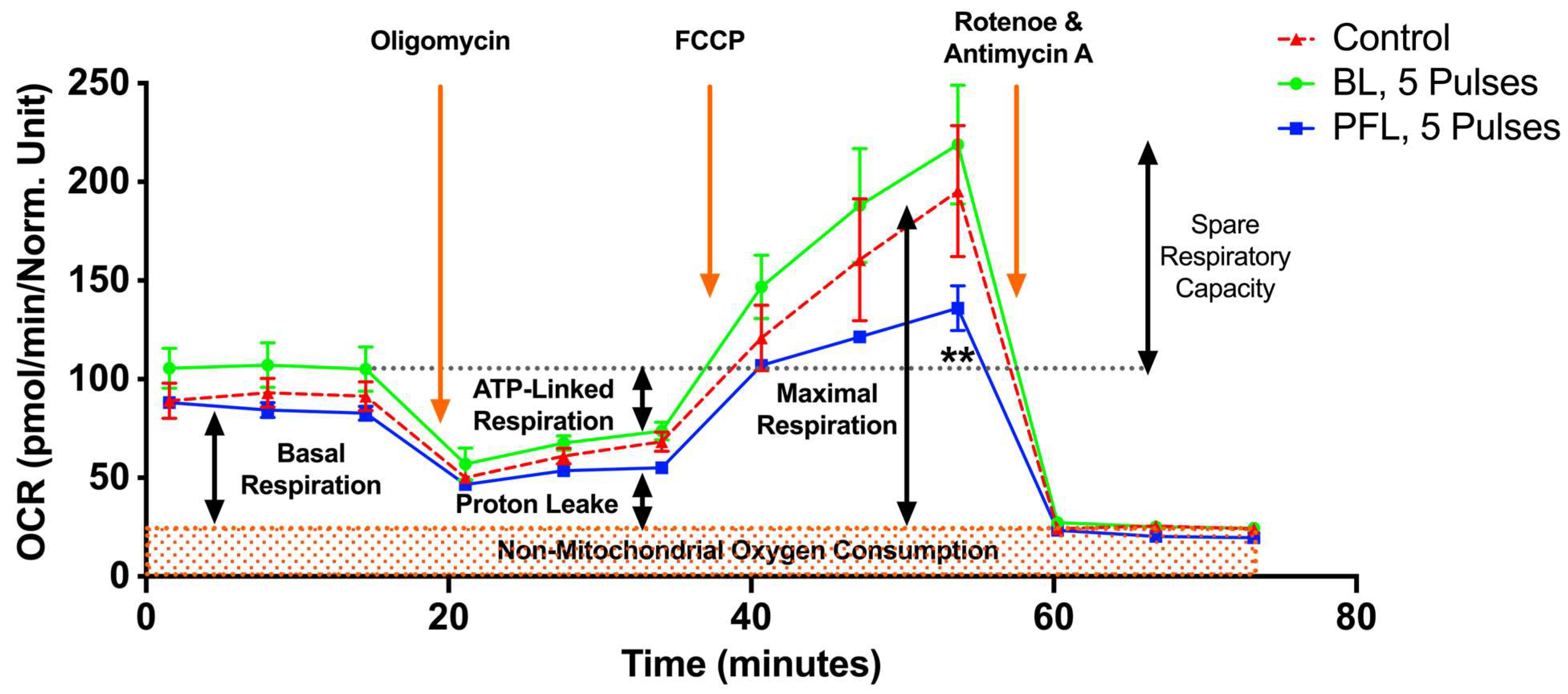 Bioengineering 10 01069 g008