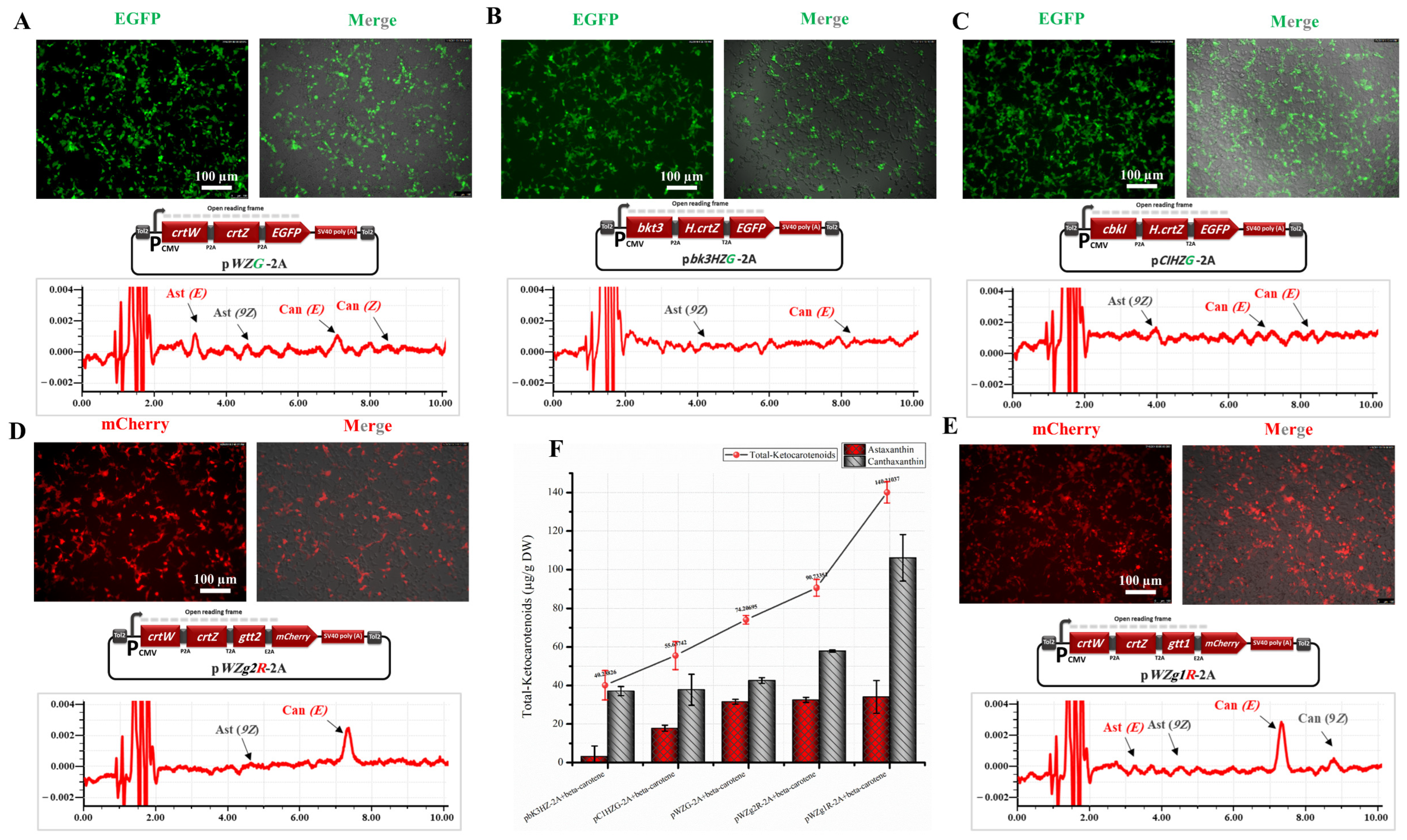Bioengineering 10 01073 g002