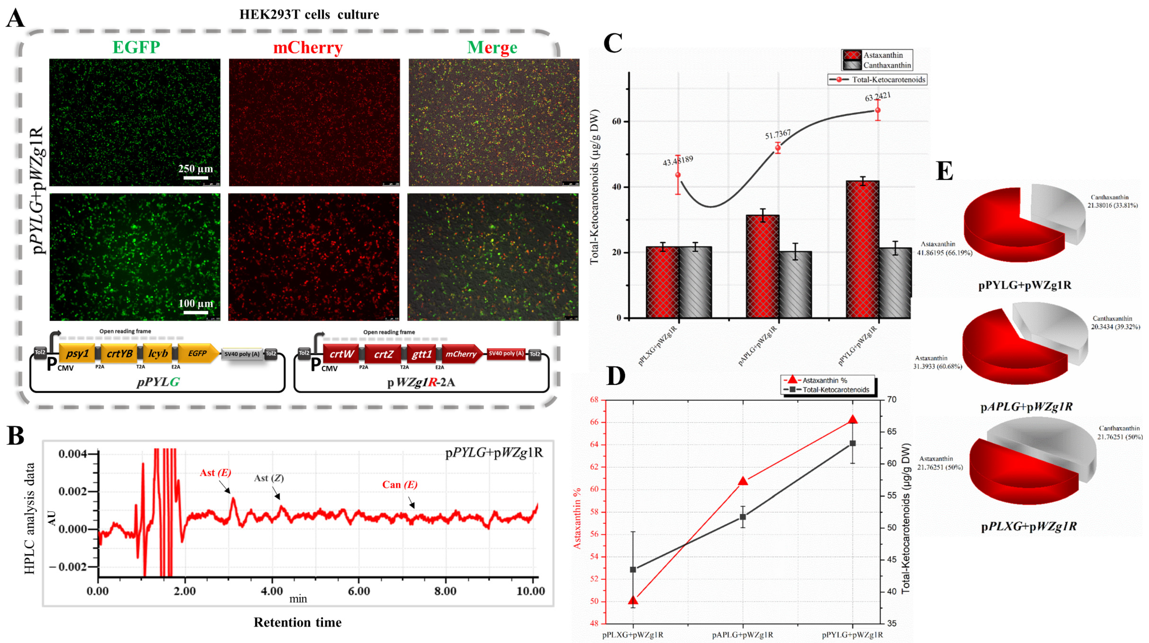 Bioengineering 10 01073 g003