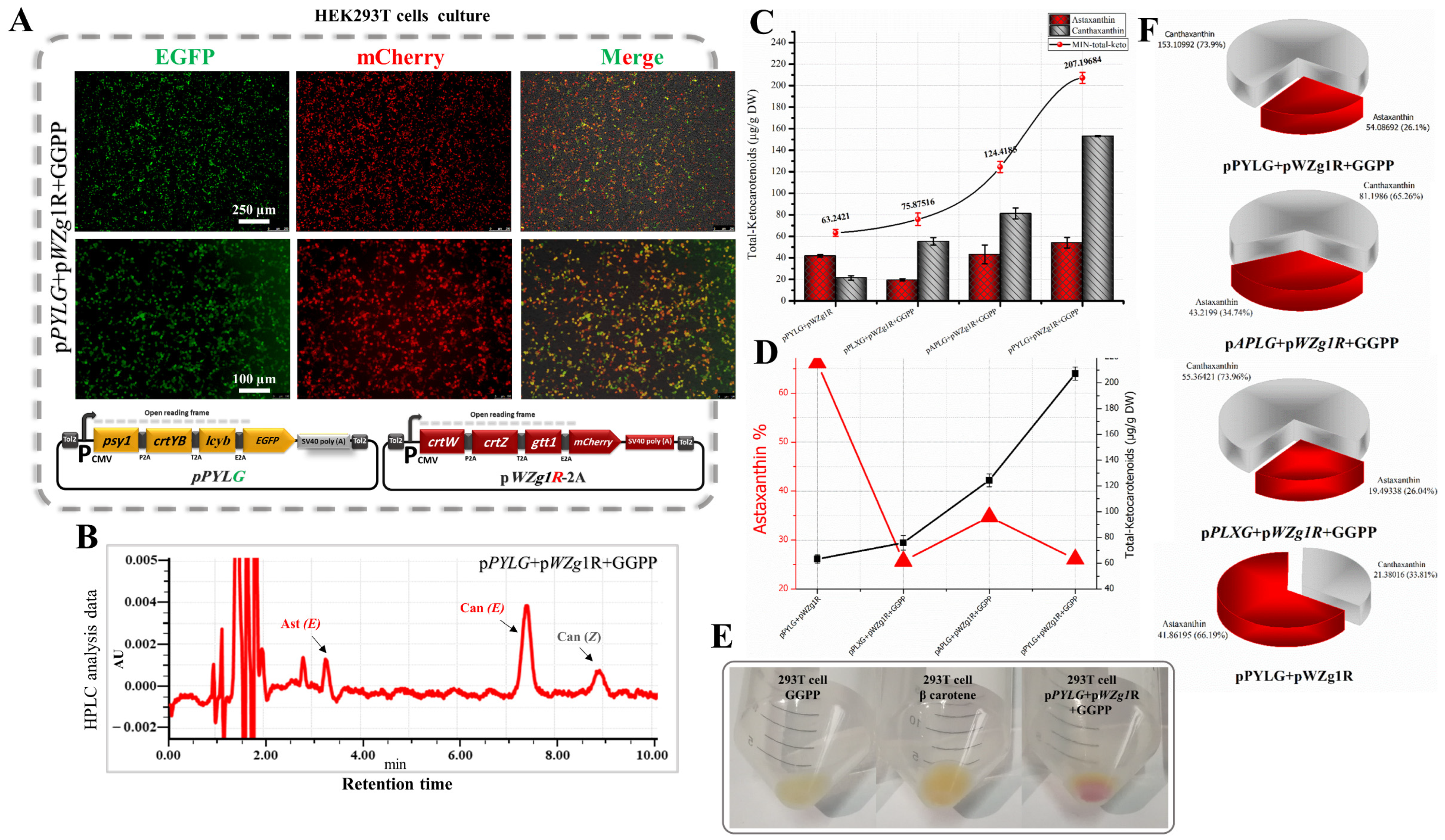 Bioengineering 10 01073 g004