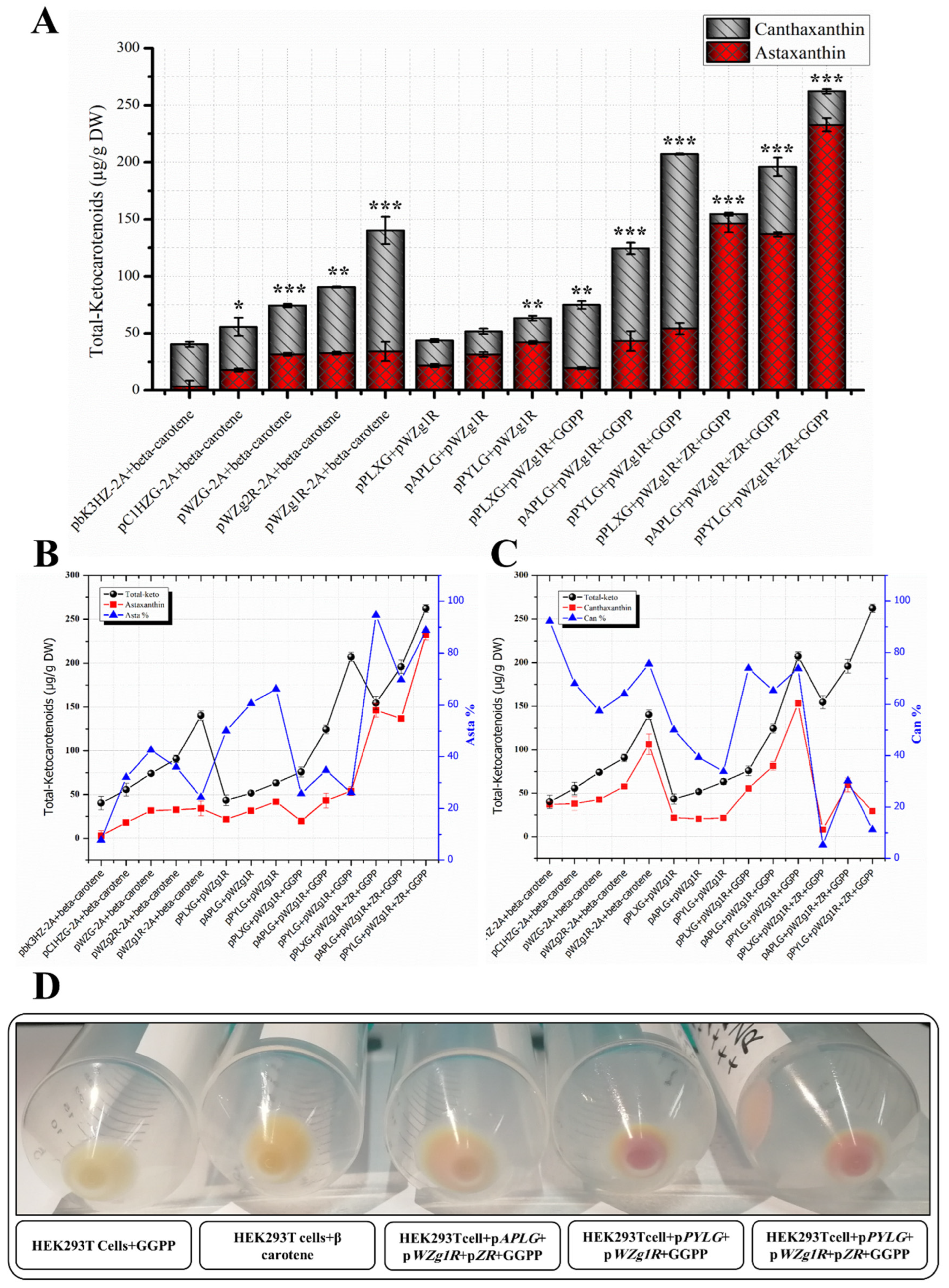 Bioengineering 10 01073 g007