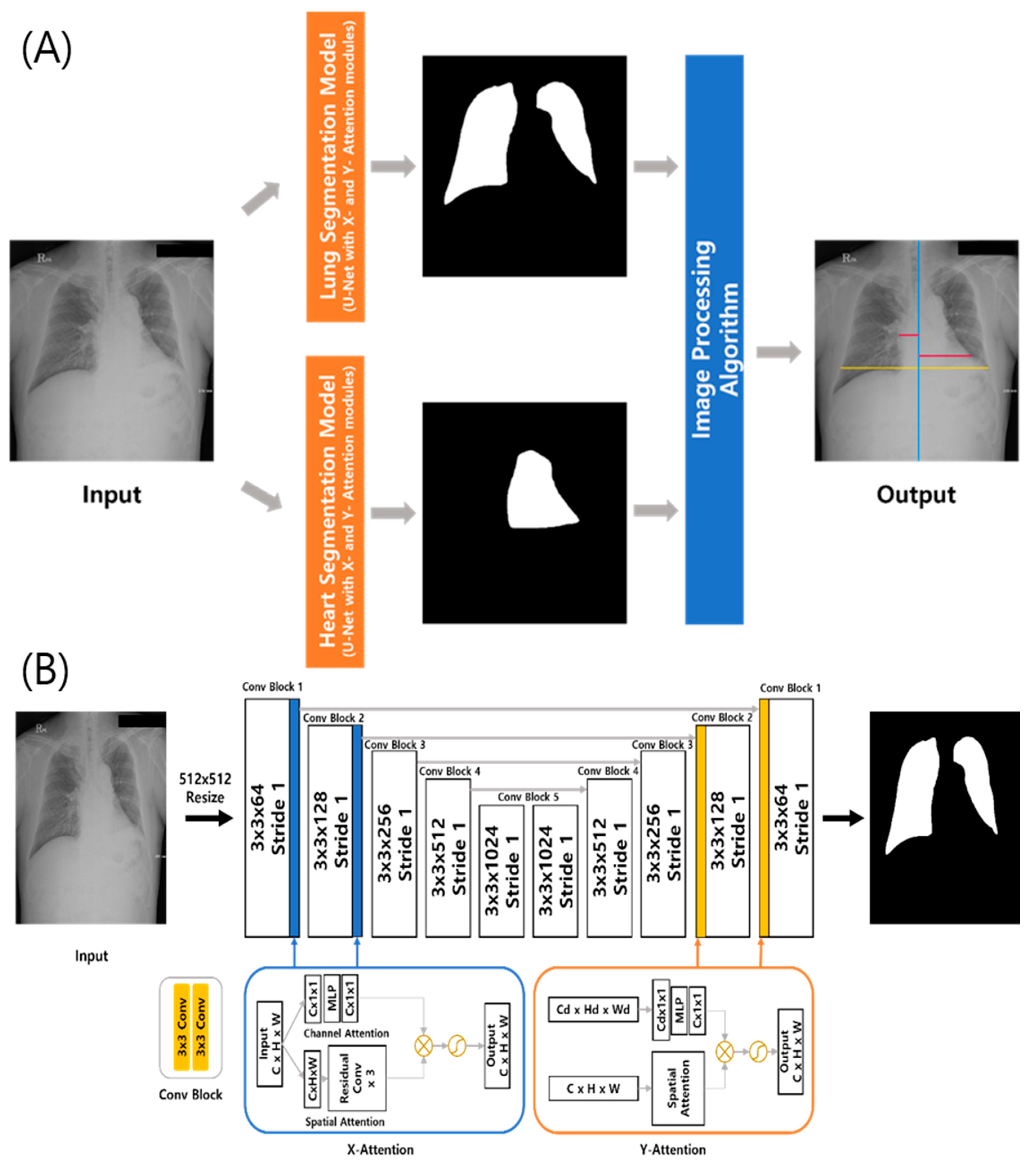 Bioengineering 10 01077 g001