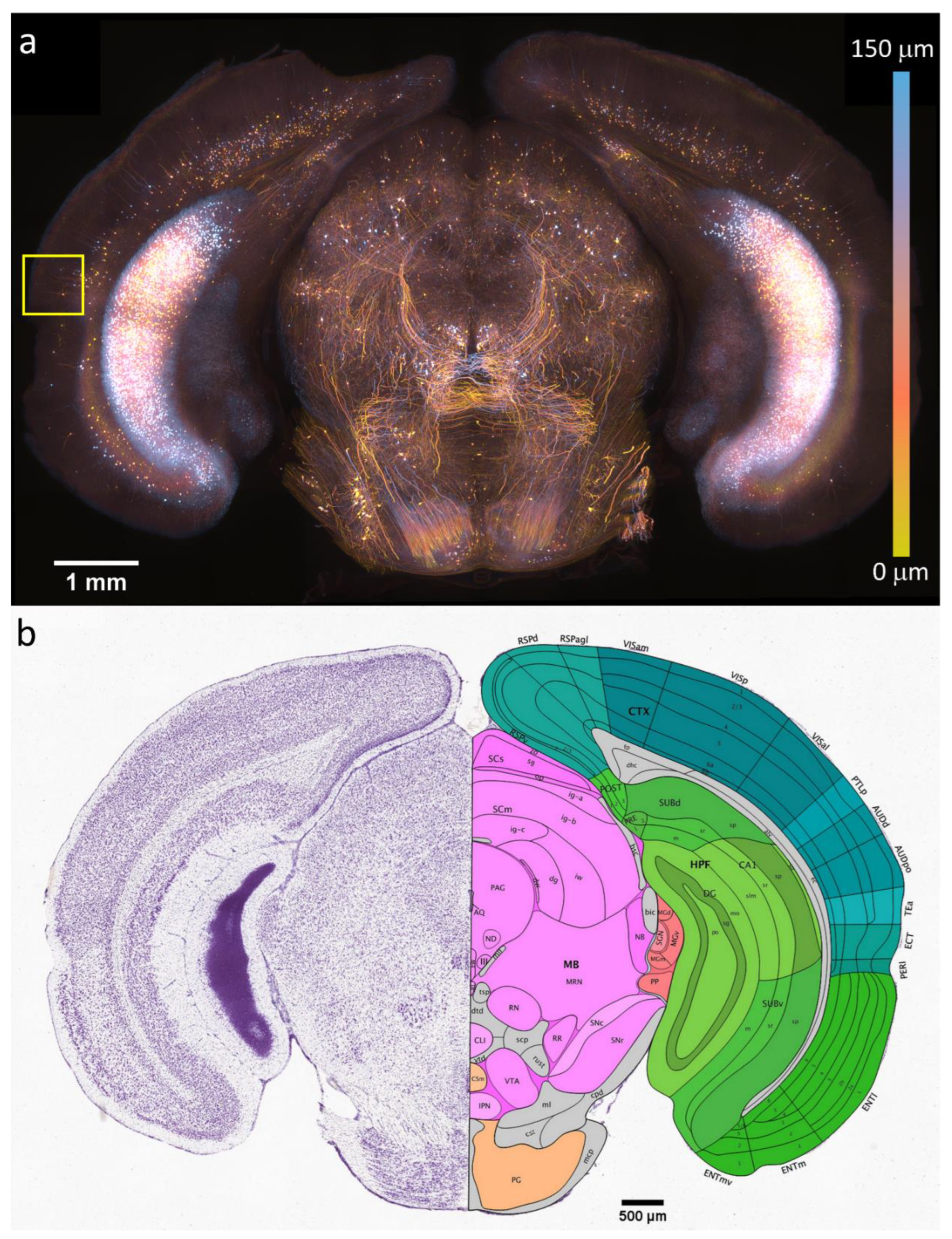 Bioengineering 10 01081 g002