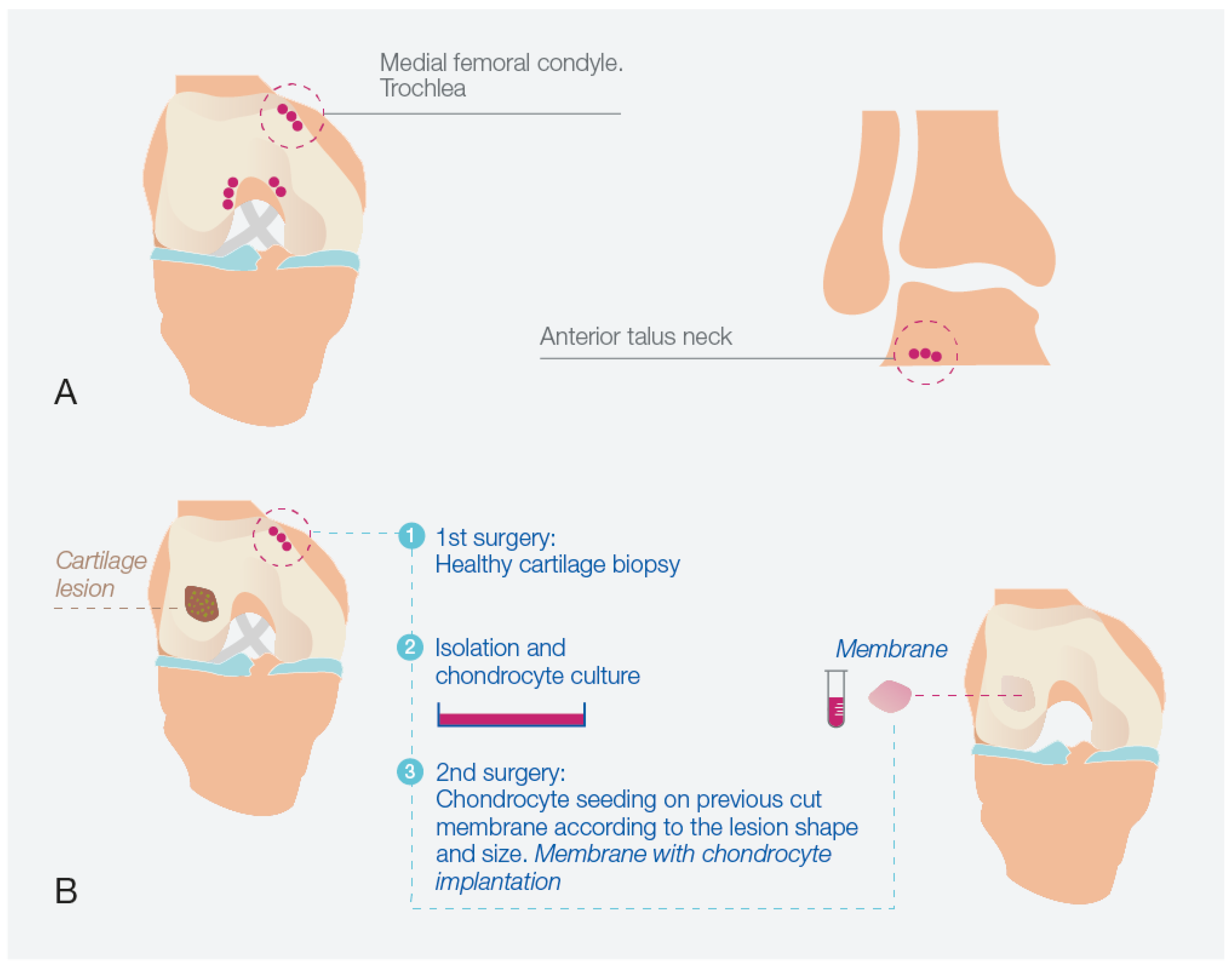 Bioengineering 10 01083 g008