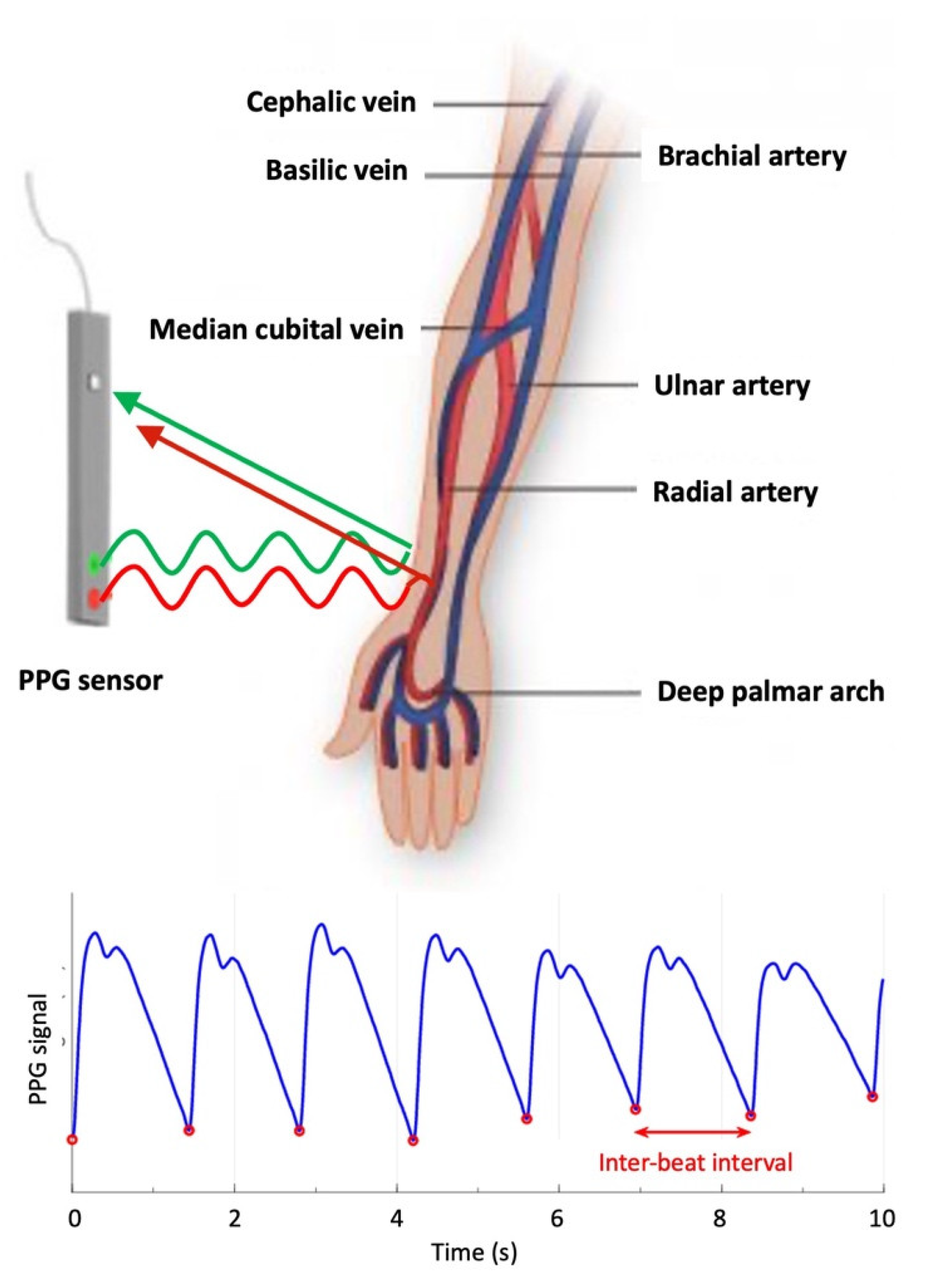 Bioengineering 10 01085 g002
