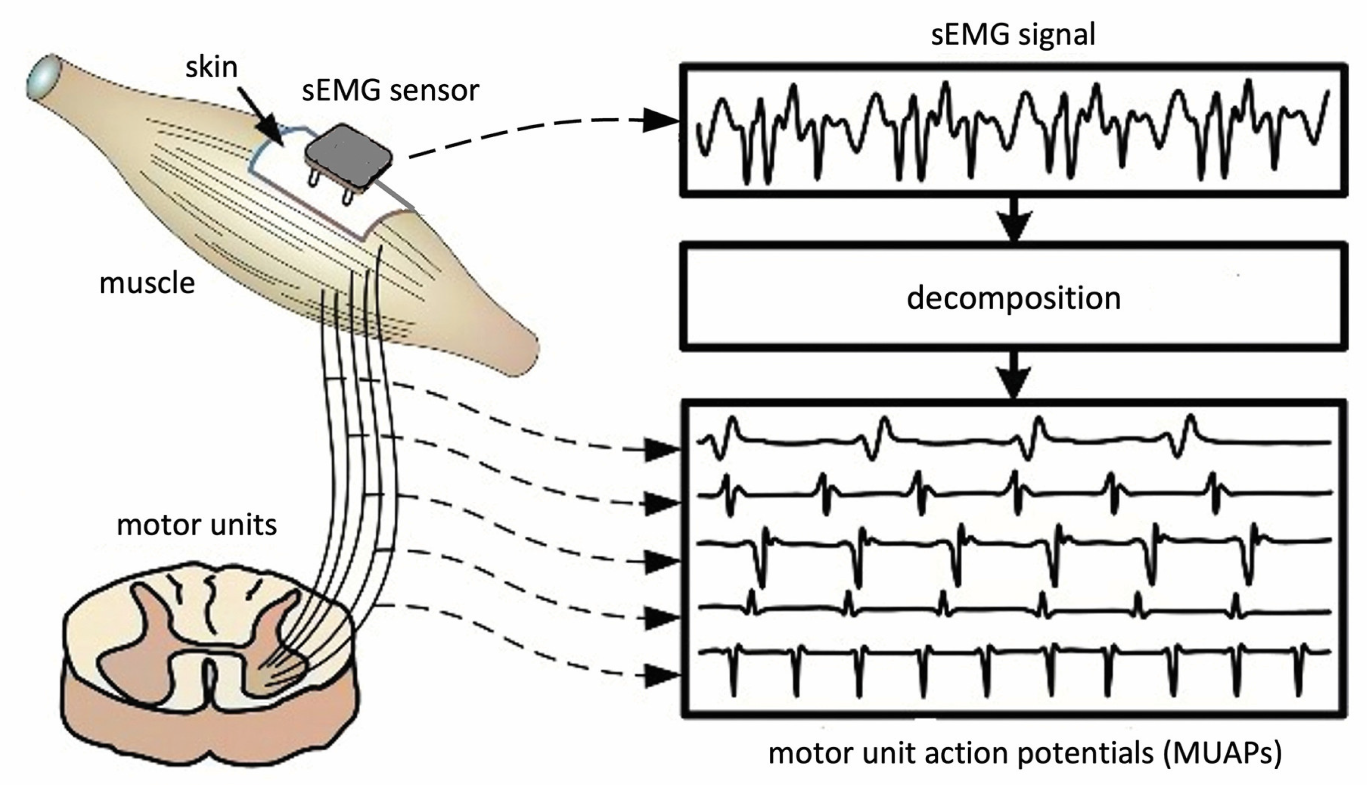 Bioengineering 10 01085 g004