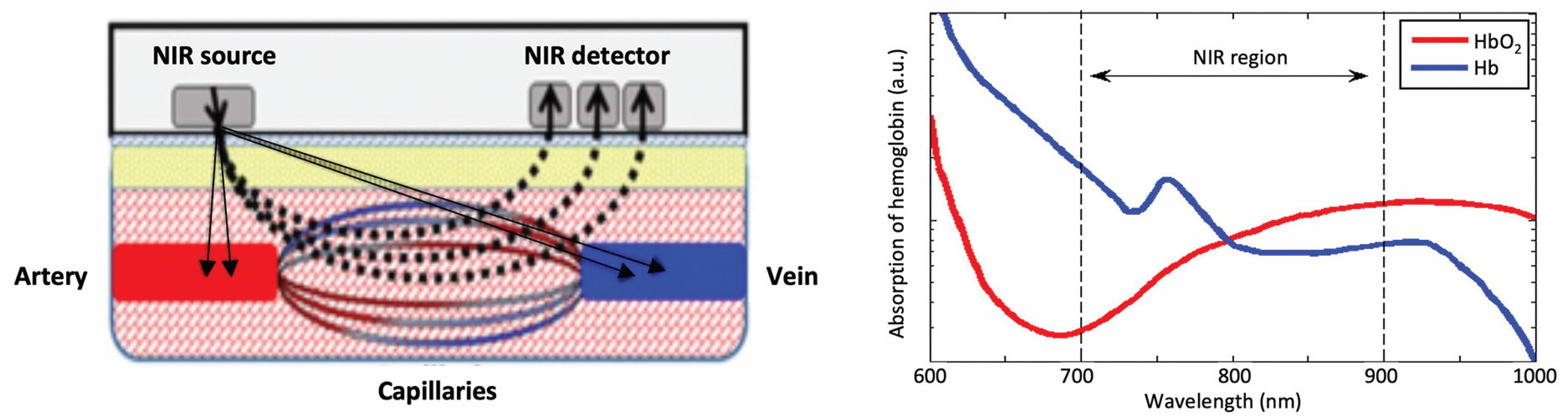 Bioengineering 10 01085 g005