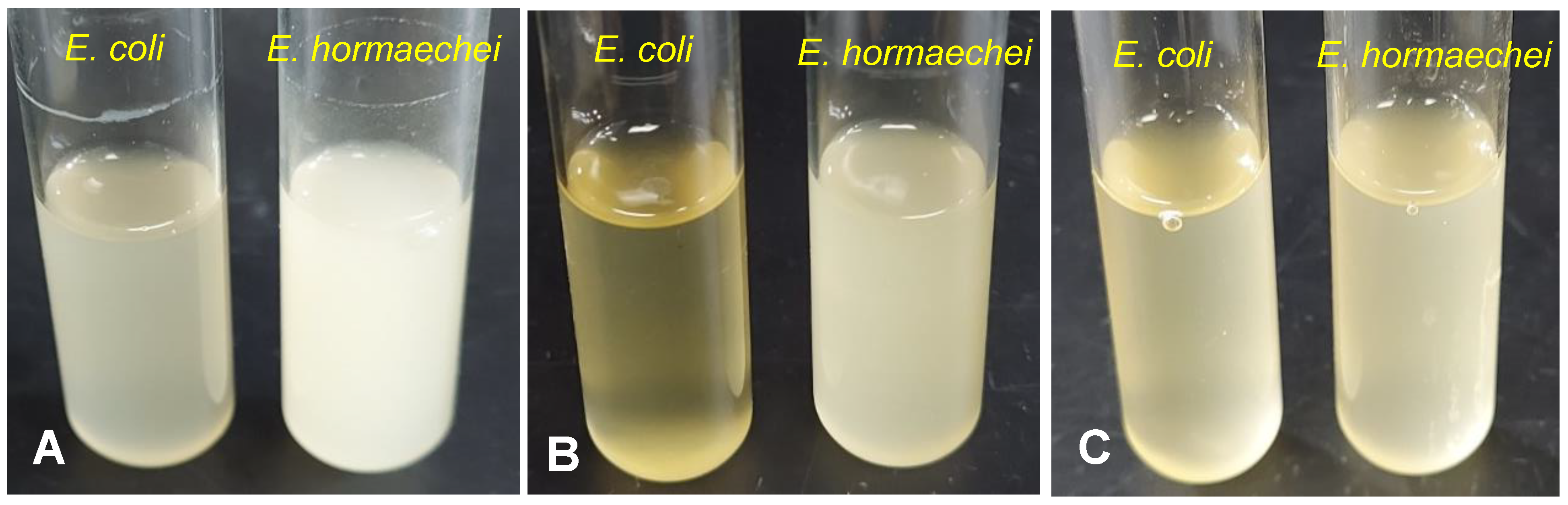 Bioengineering 10 01090 g001 Bioengineering 10 01090 g001