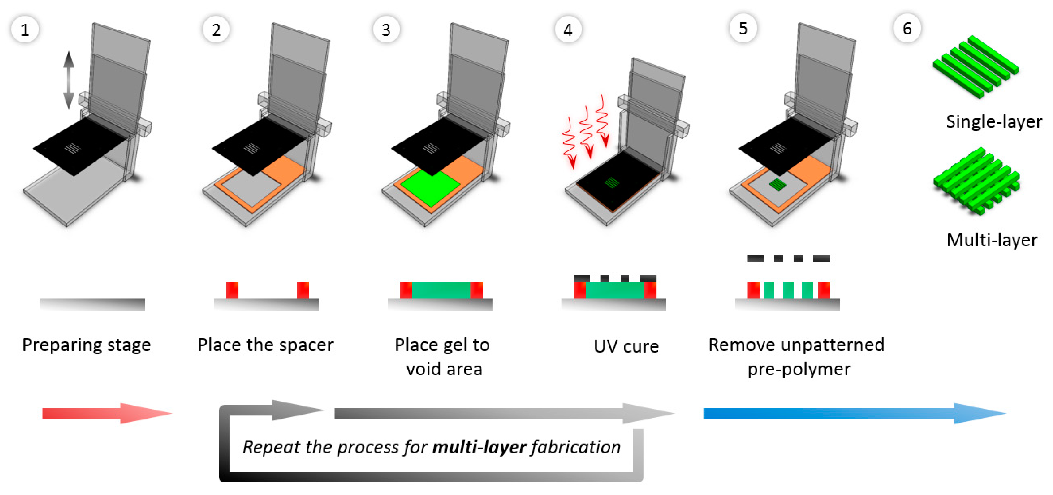 Bioengineering 10 01092 g001